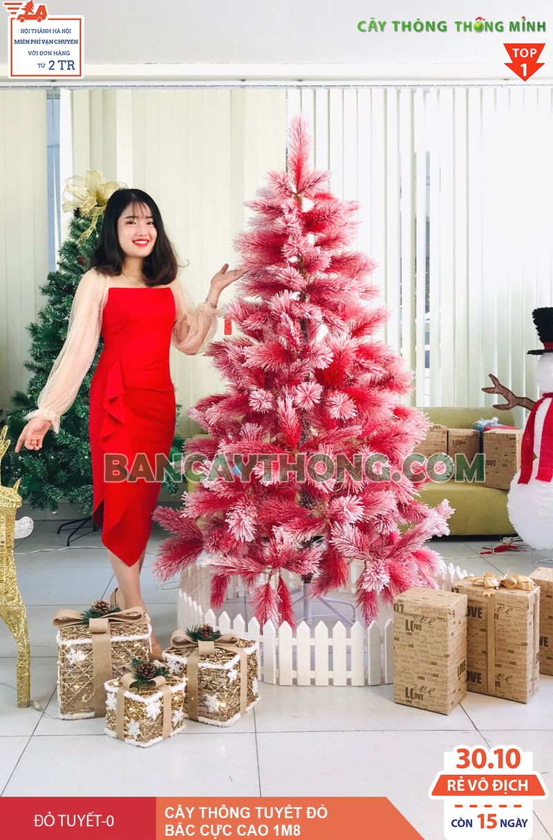 cay%20thong%20do%20phu%20tuyet%201m8-0%20re%20dep.jpg