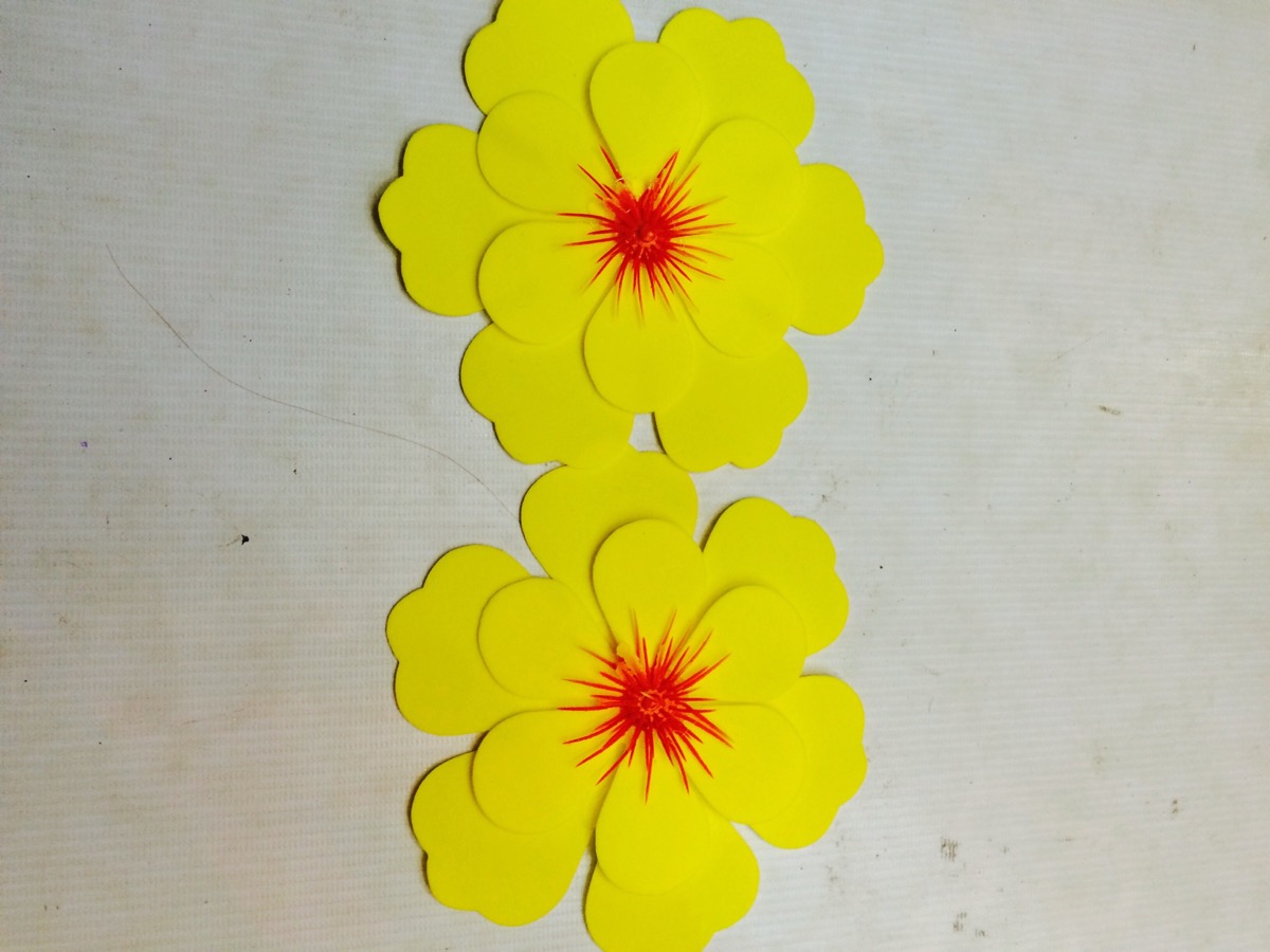 Mai dẻo có nhụy nhựa to 2b