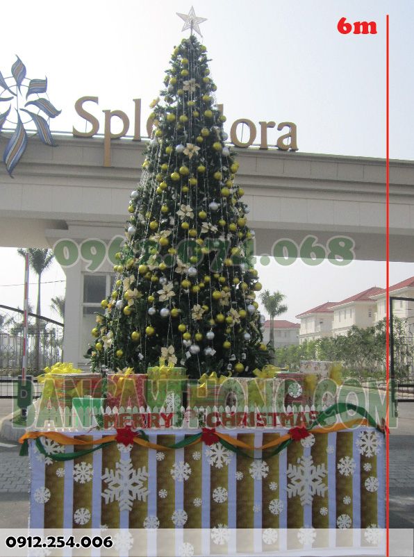 Cây 4.5m có thêm dịch vụ kê bục 1.5m = 6m tại Splendora 2013