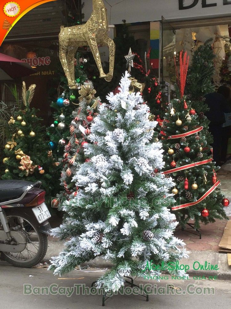 Cây thông phủ tuyết gắn trái thông 1.5m