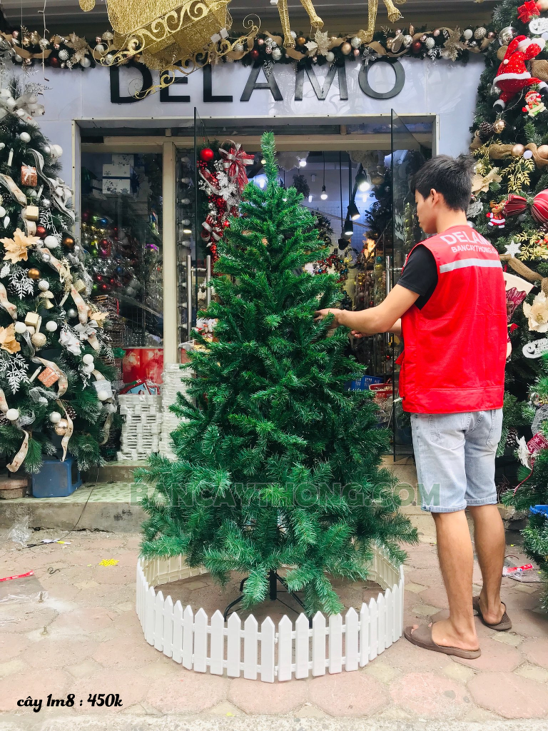 Cây thông xanh trơn dày lá 1.8m chân sắt