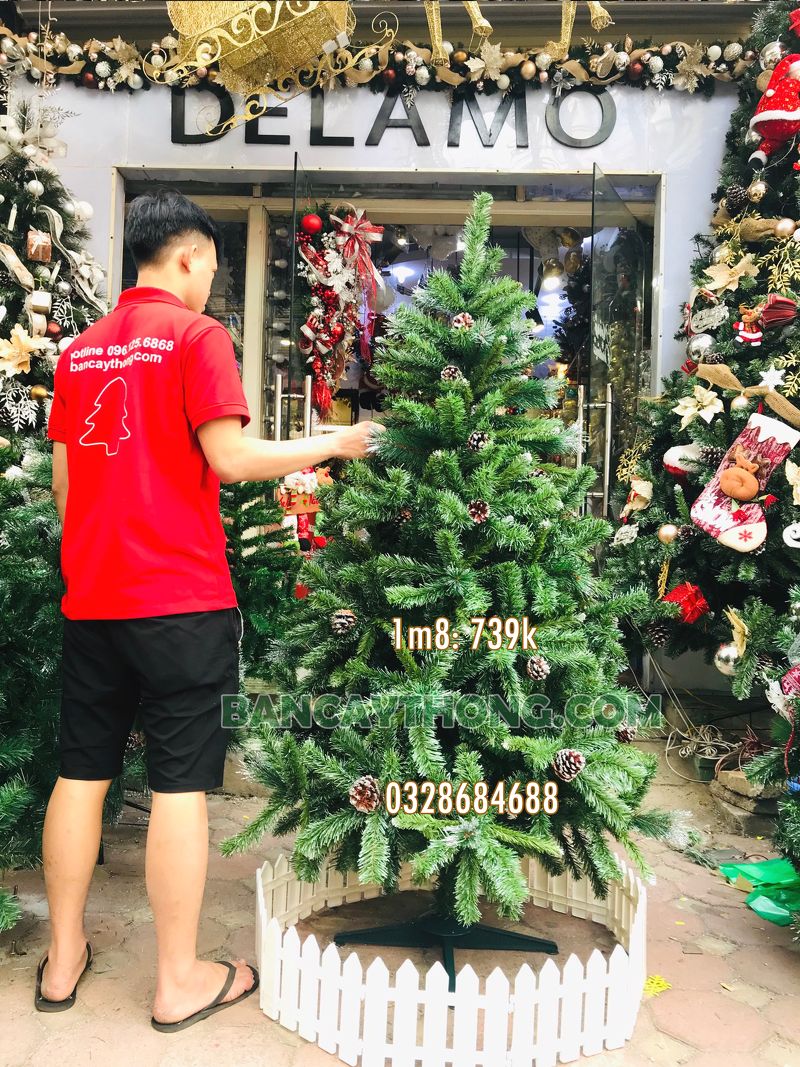 cây thông noel 3 loại lá gắn trái thông cao 1m8