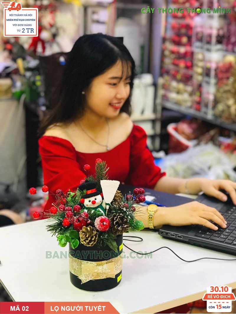 Lọ hoa noel người tuyết quét nhà mã 02