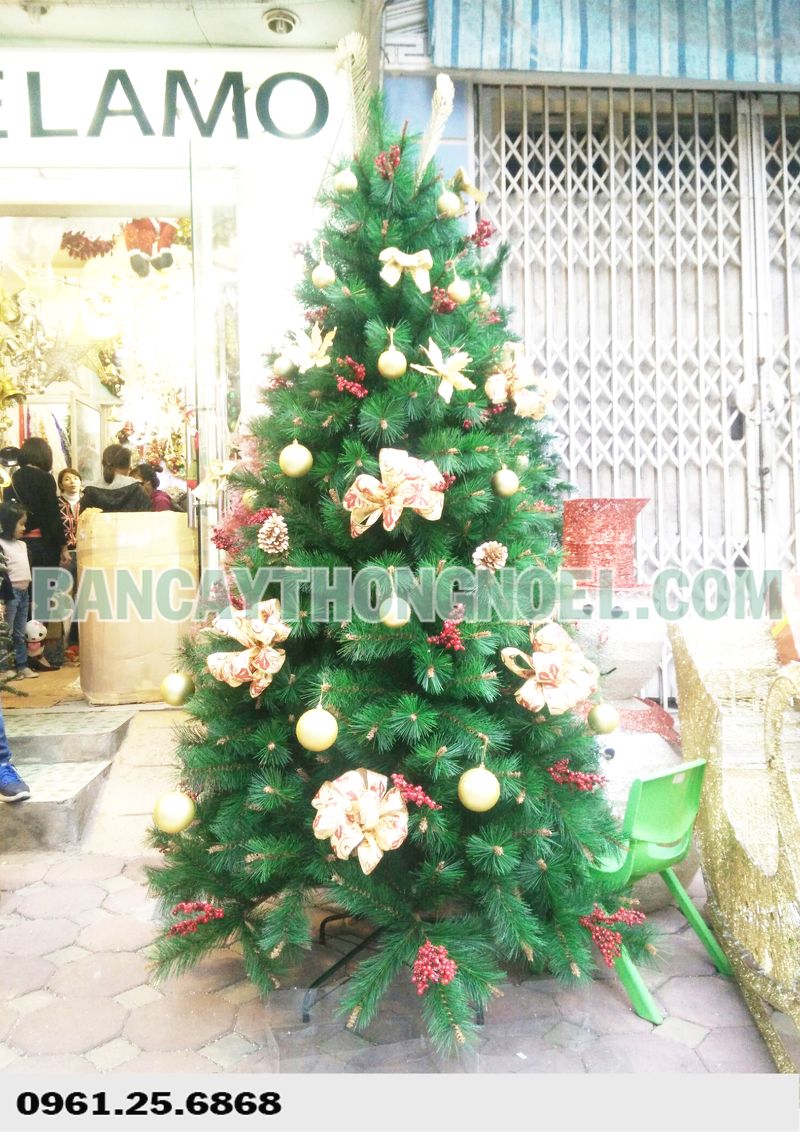 Cây thông noel cước đầu vàng YHN 2m