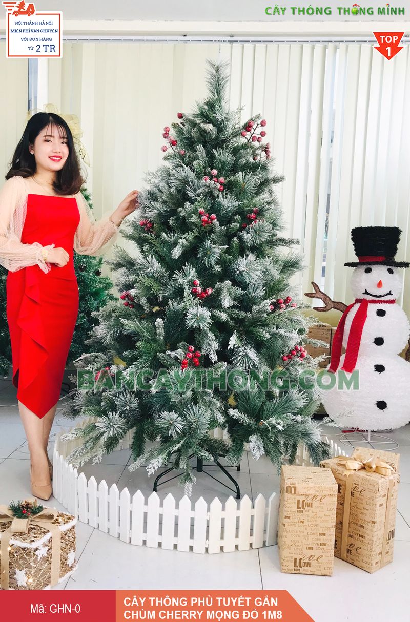 Cây thông noel cước đầu loa phủ tuyết cao GHN 2m