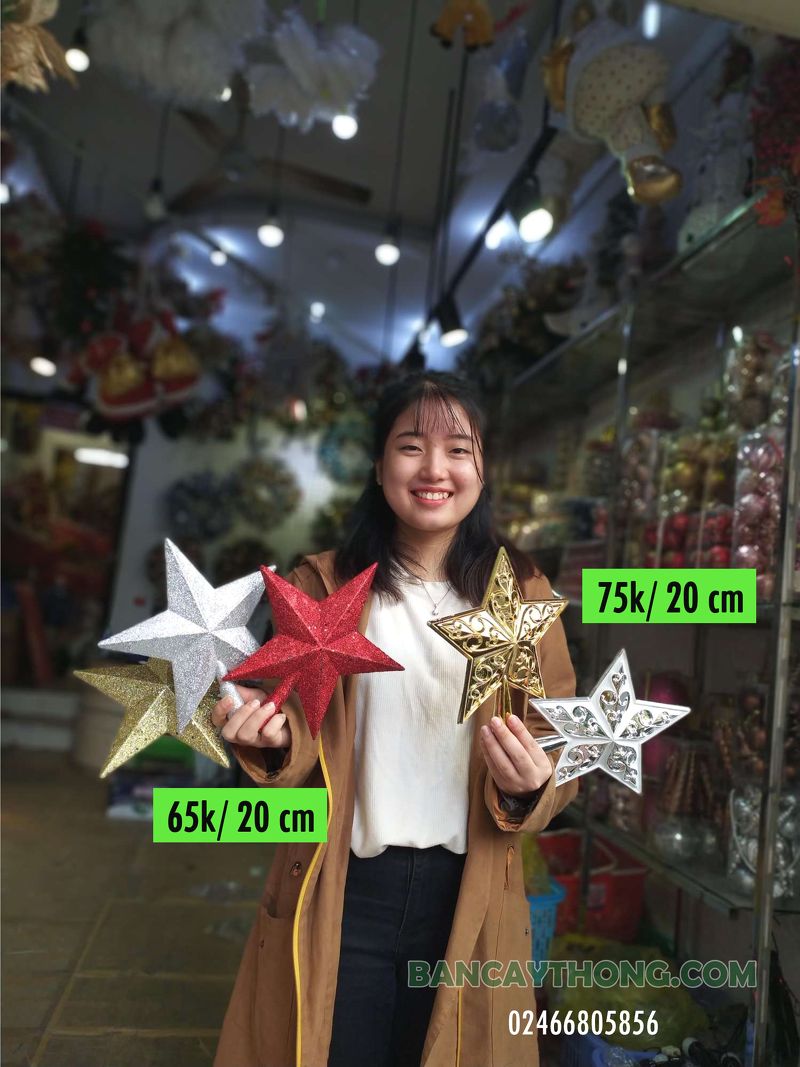 Sao đỉnh gắn trên ngọn cây thông