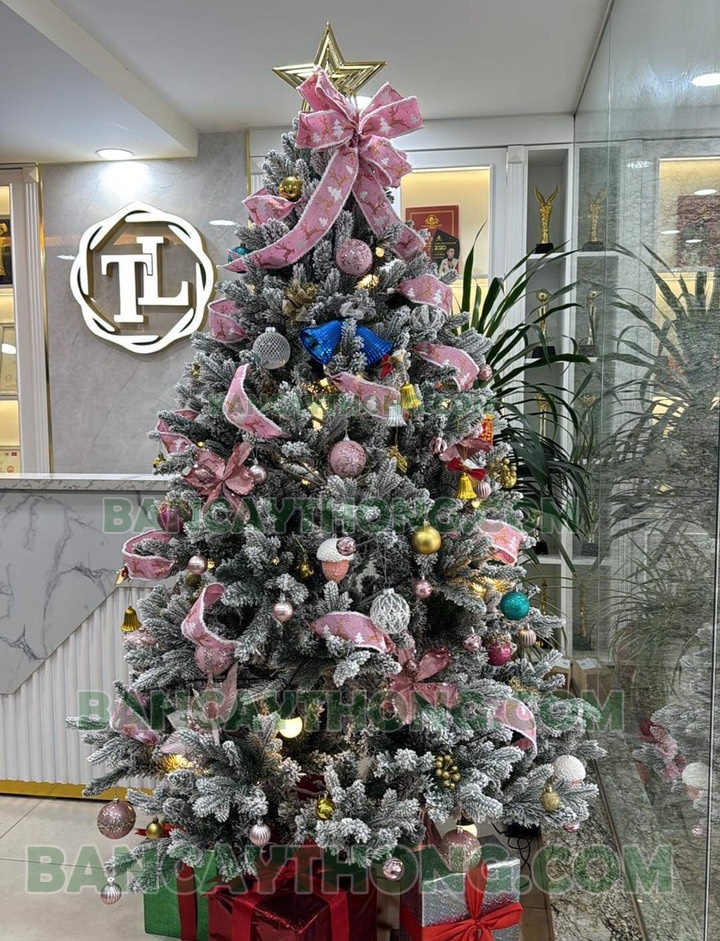 Cây thông noel PE hồng blackpink cao 2m