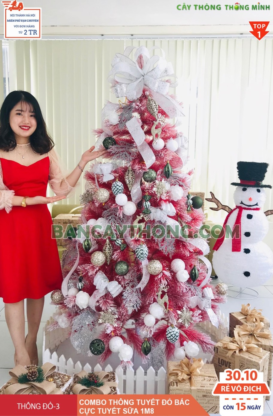 Cây thông noel combo tuyết hồng cao 2m lá cước