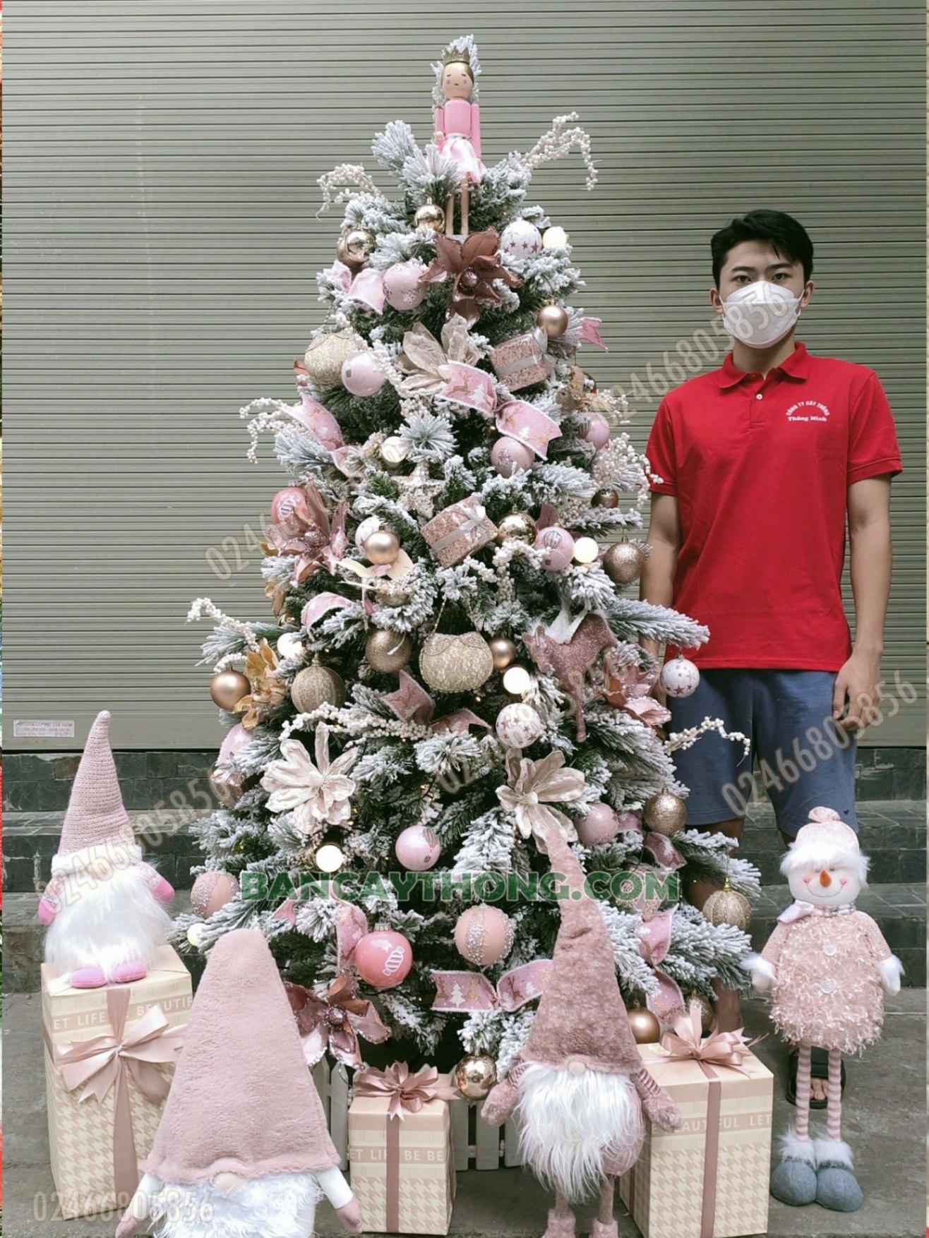 Cây thông noel hồng 2m combo BLP