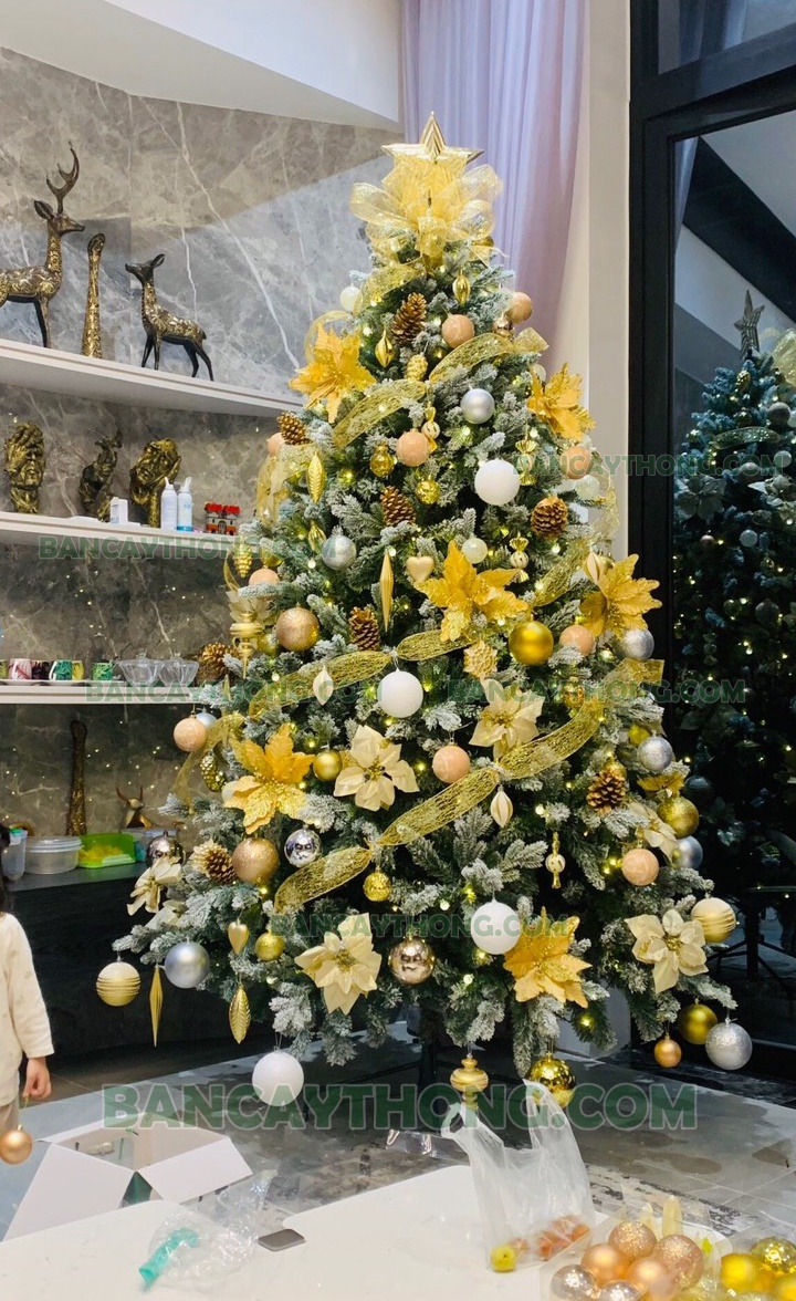 Cây thông noel phủ tuyết lá nhọn pe 1 tông vàng cao 2m4