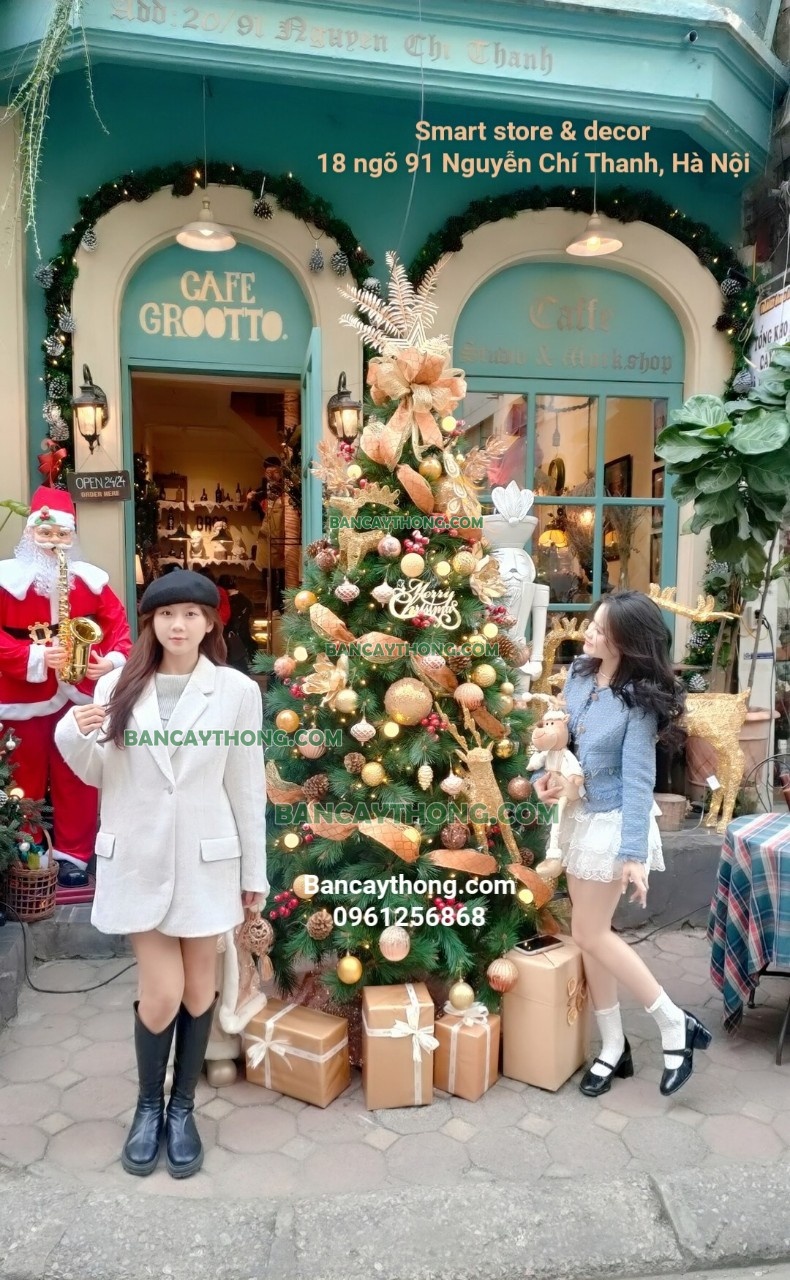 Cây thông noel lá kim cước đầu vàng Combo Champage đồng cao 2m4