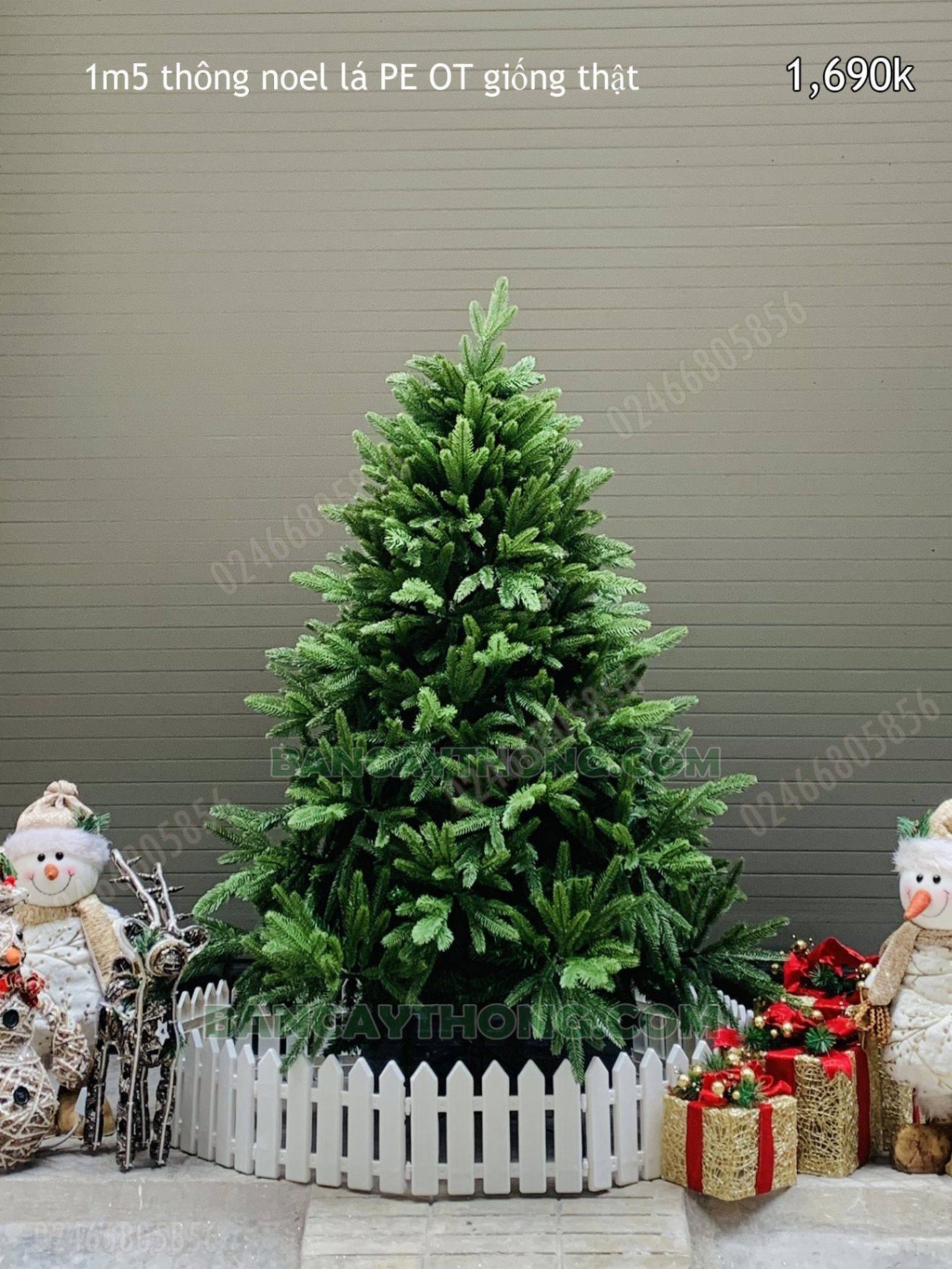 Cây thông noel pe ot lá nhọn mềm cao 1m5