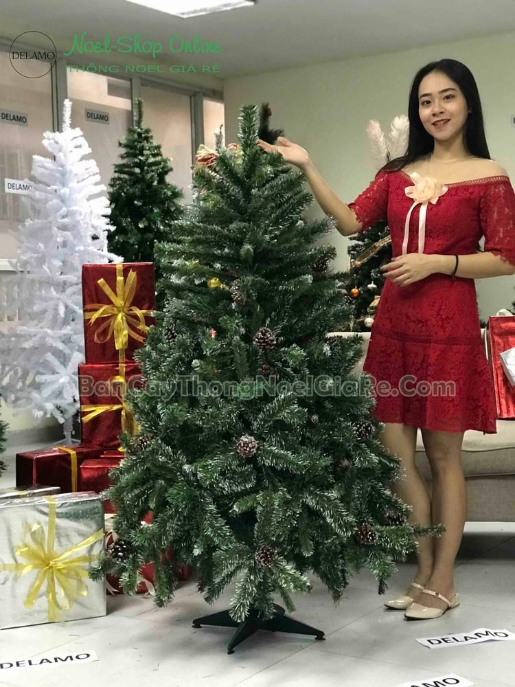 Cây thông noel 3 loại lá gắn trái thông cao 1m5