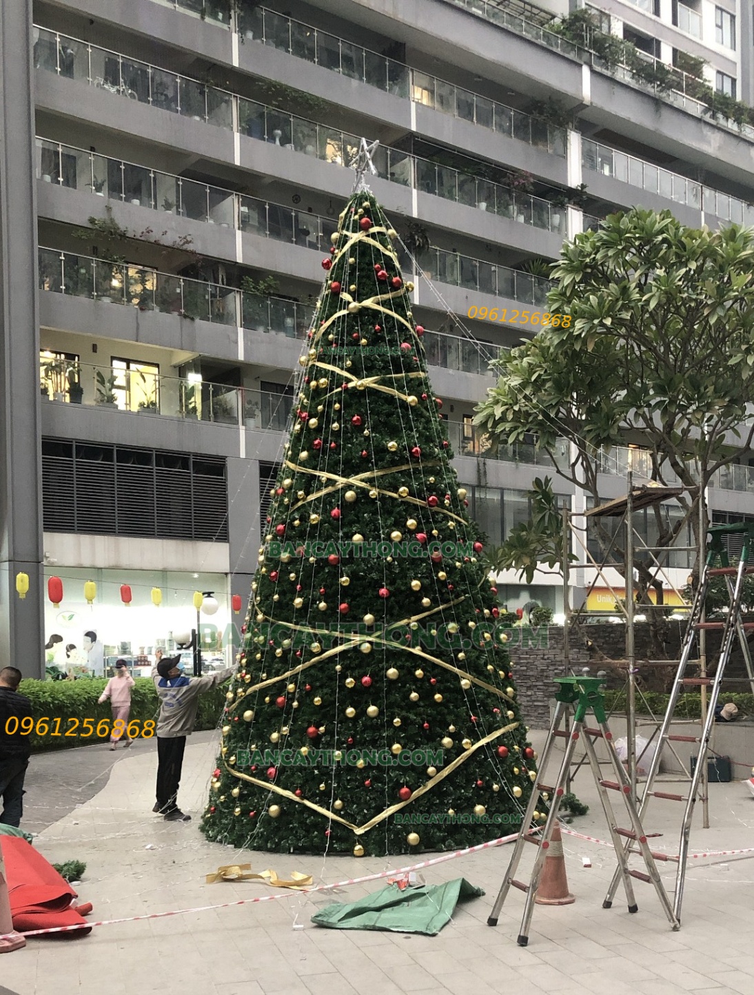 Cây thông noel 6m khung sắt chóp nón