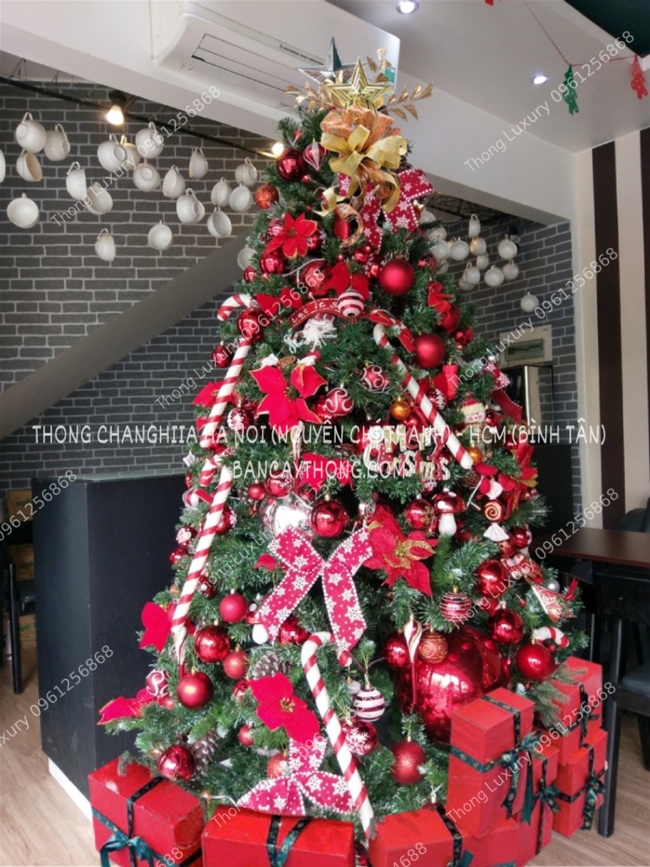 Cây thông noel 3 loại lá gắn trái thông cao 2m full phụ kiện