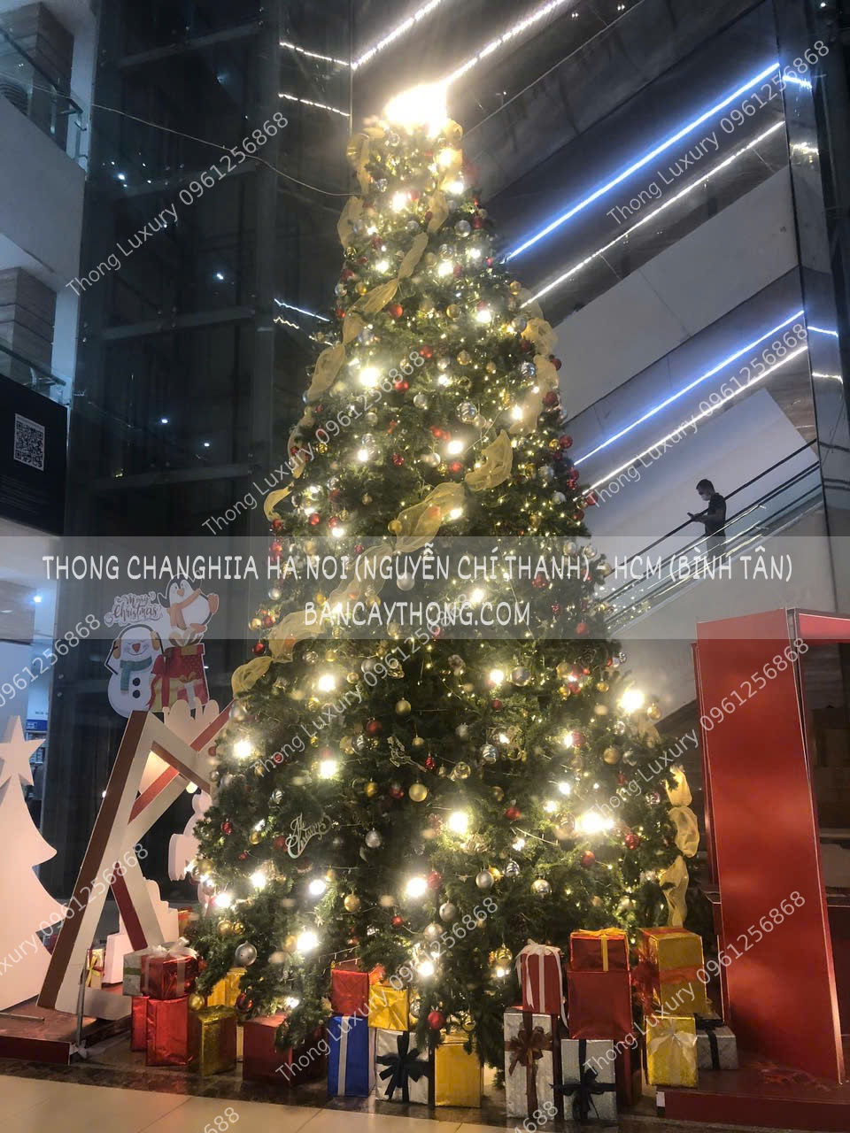 Cây thông noel 6m có trang trí