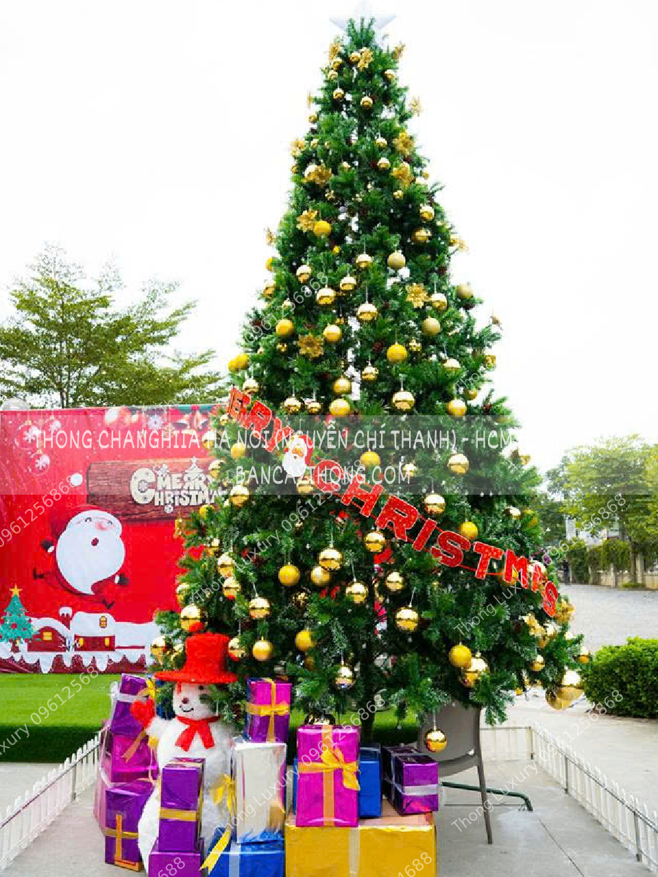 Cây thông noel 6m