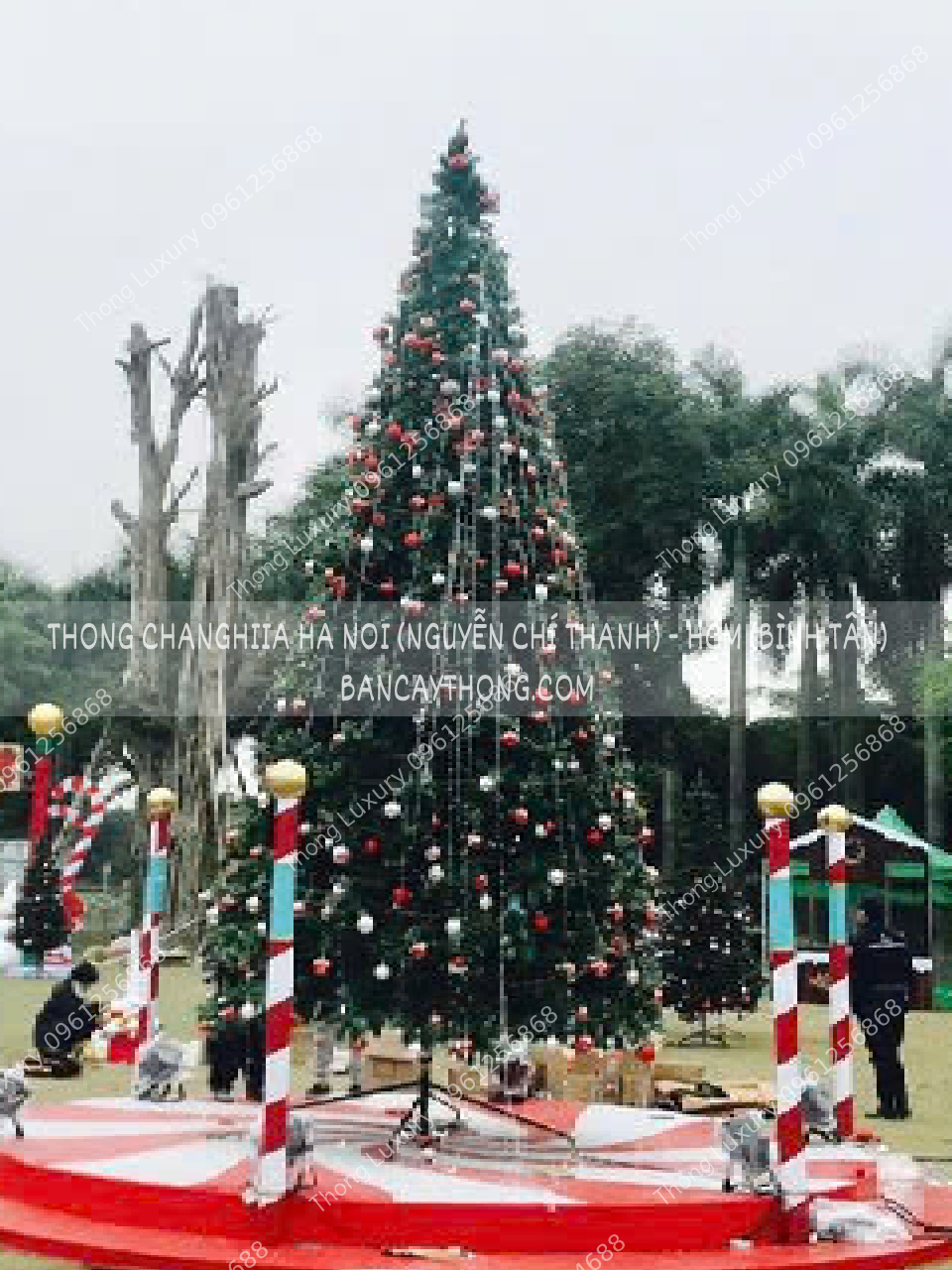 Cây thông noel 6m trang trí đỏ