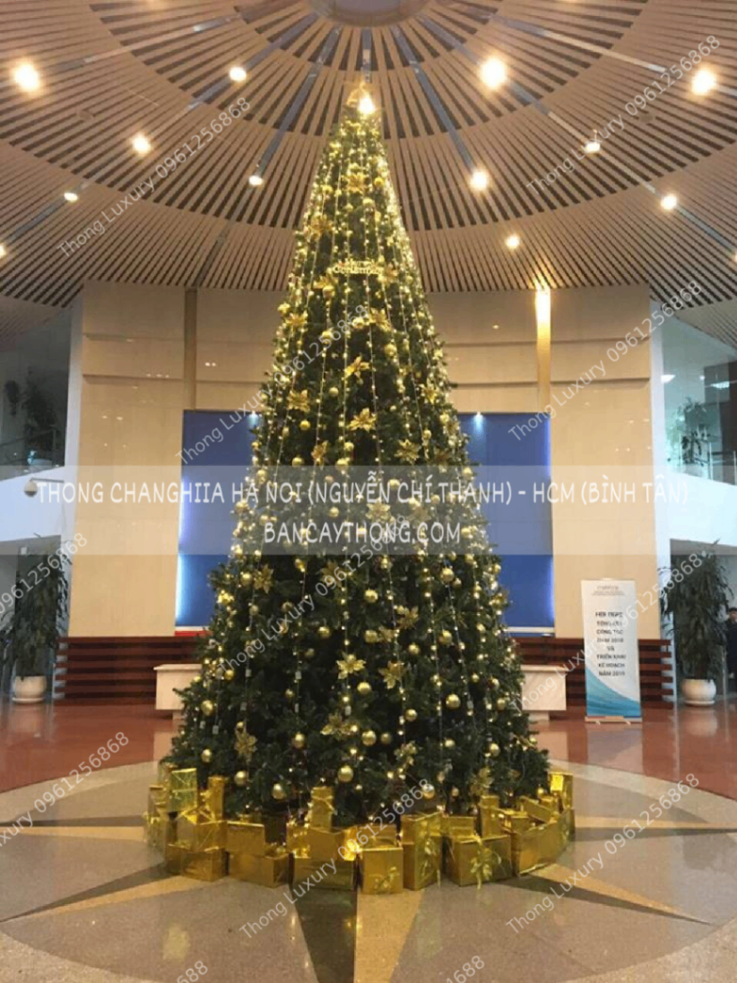 Cây thông noel 6m có trang trí vàng