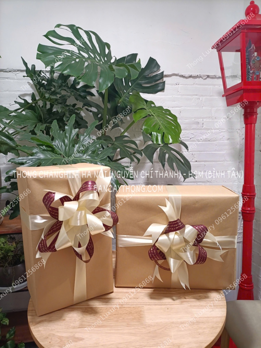 Hộp quà cây thông noel