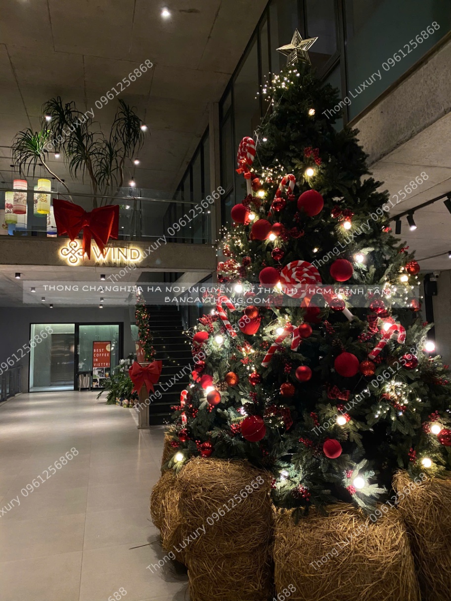 Cây thông noel pe mix cao 2m4 có trang trí đỏ tông rơm