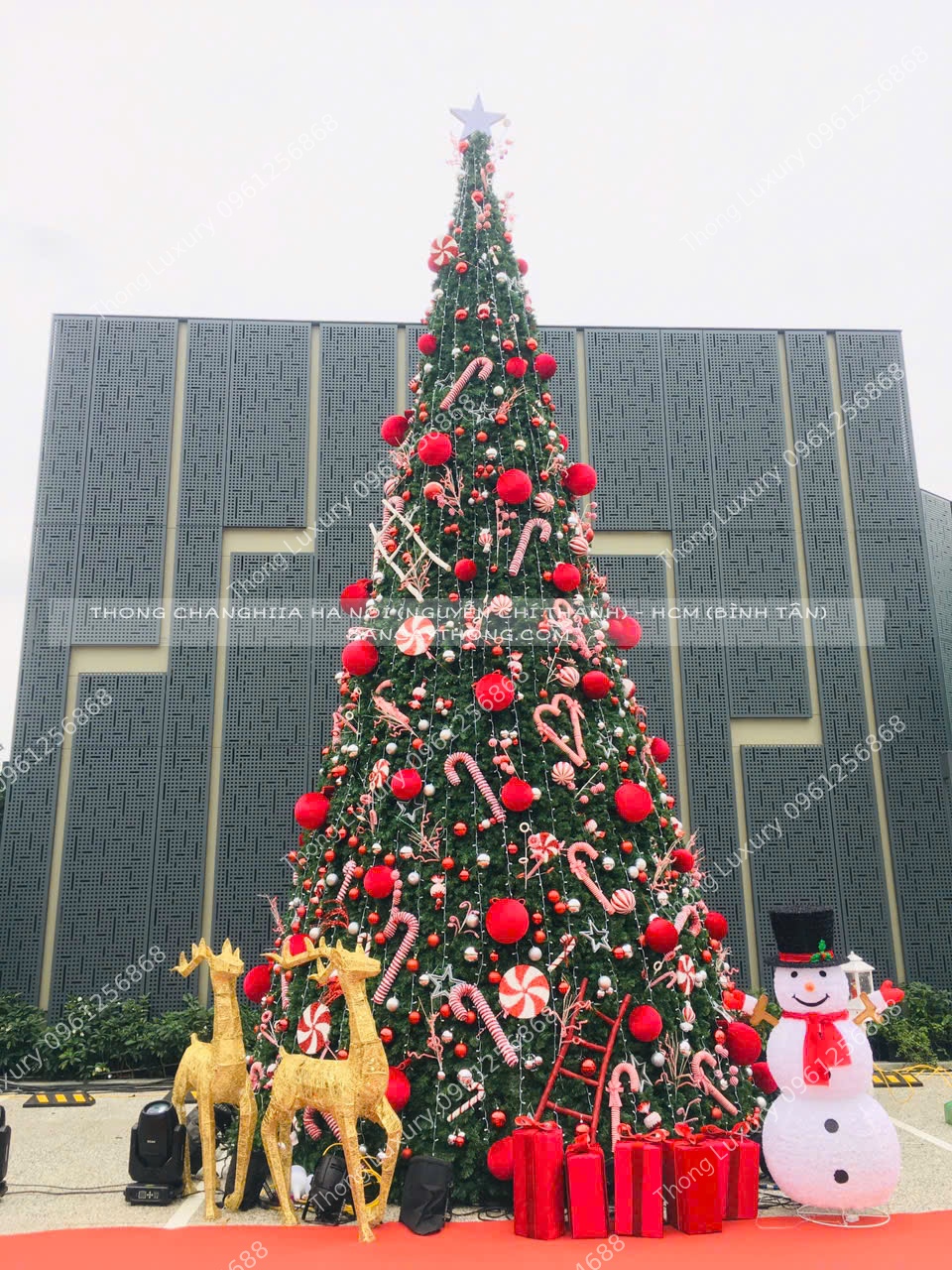 Combo cây thông noel cao 8m và phụ kiện hoàn thiện