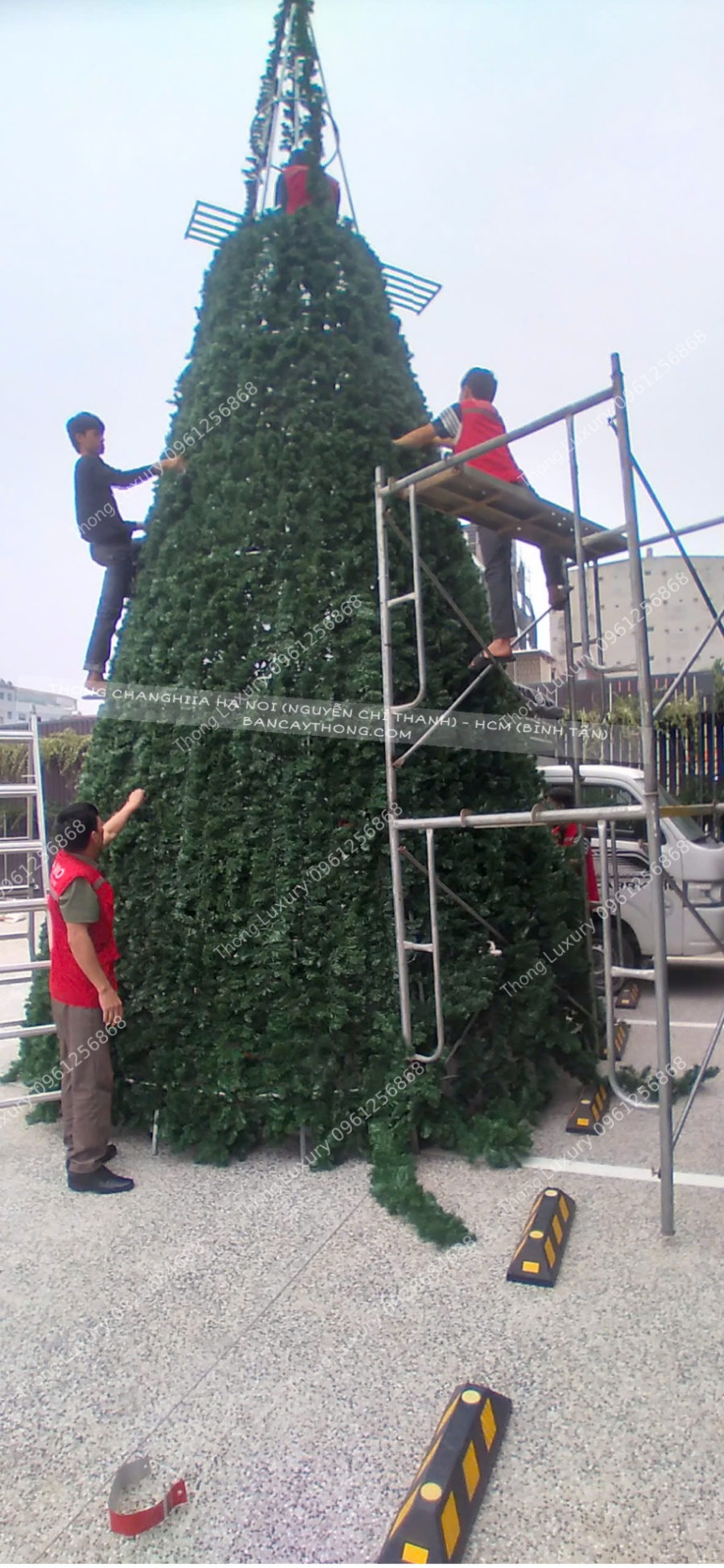 Cây thông noel cao 8m