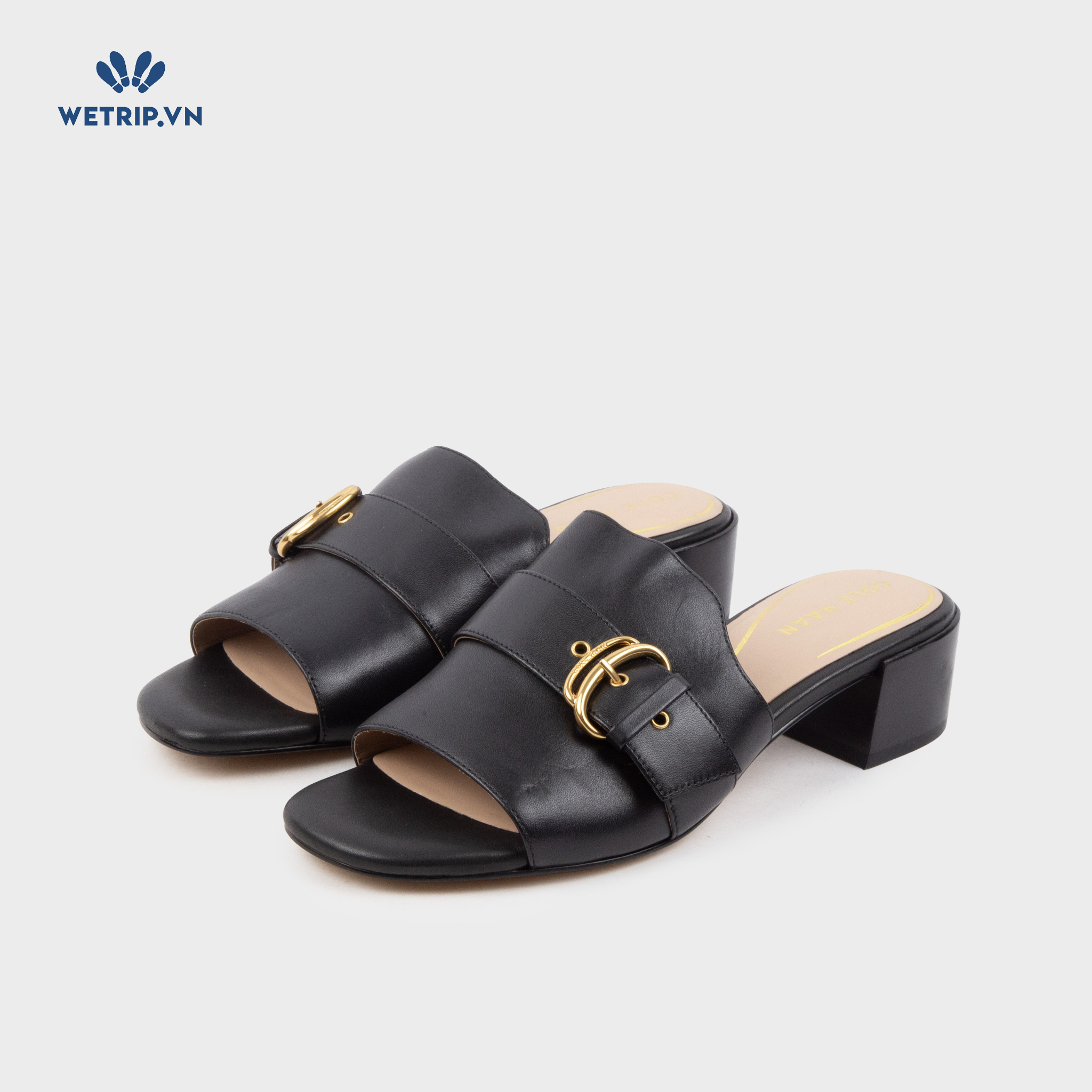 Sandal Cao Gót Cole Haan (Đen) Mã SDCG-COHA-006-A
