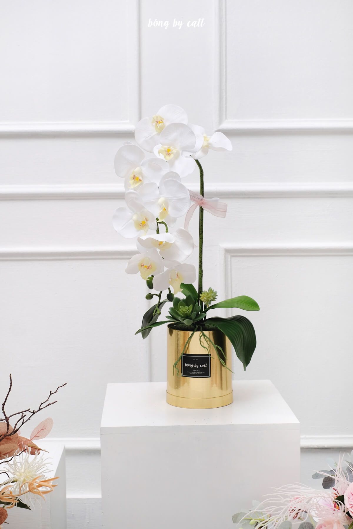 Orchid - White 1 - Golden