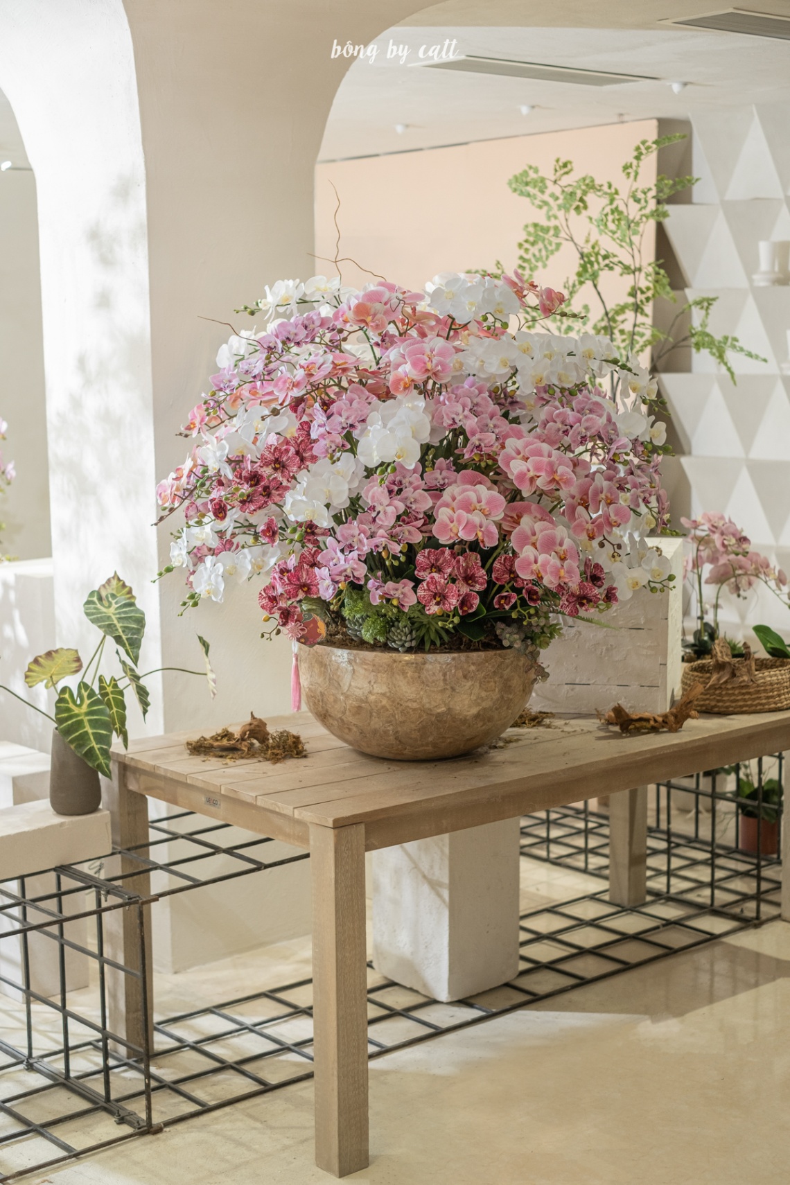 Orchid - Dương Quang 80.1 - Mosaic