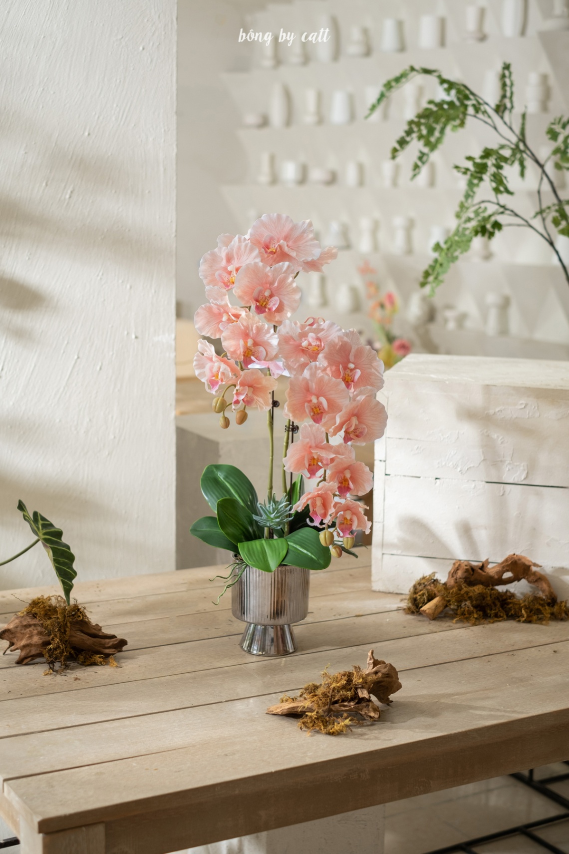 Orchid - Tuệ An 2.1 - Metal
