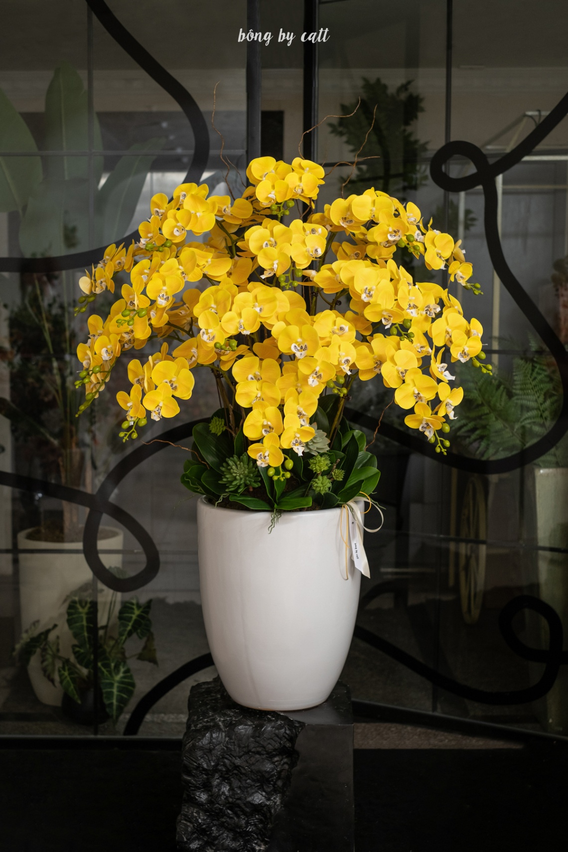 Orchid - Yelly 15 - Ceramic