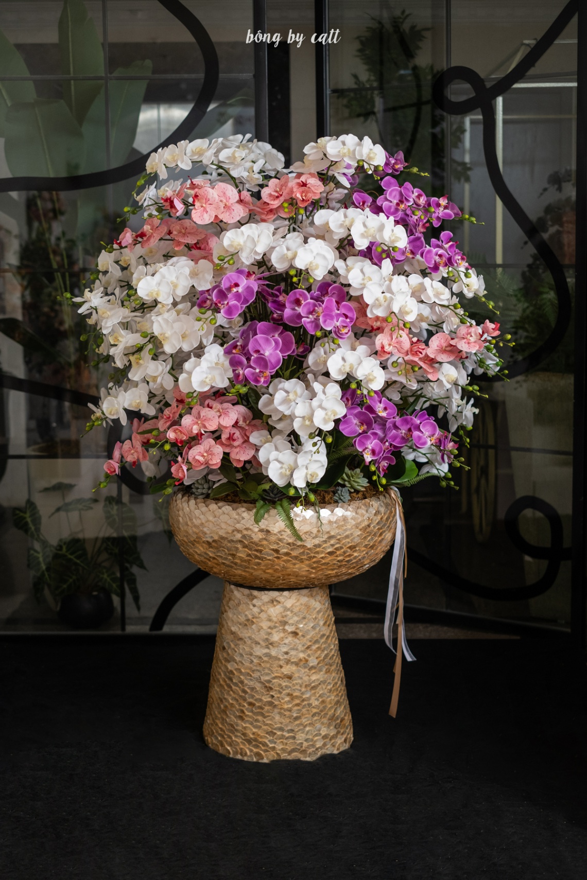 Orchid - Mãn Đường - Mosaic