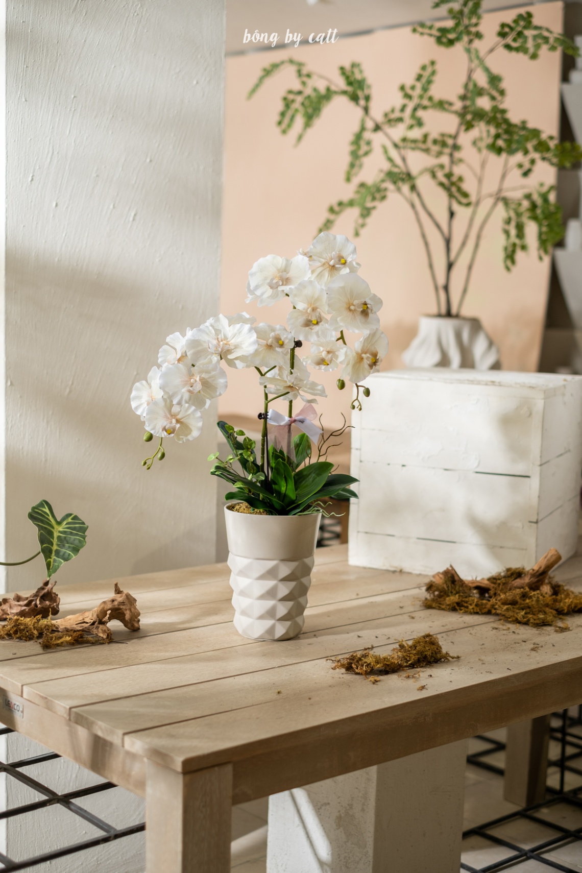 Orchid - Tân Kỳ 2.3 - Gốm