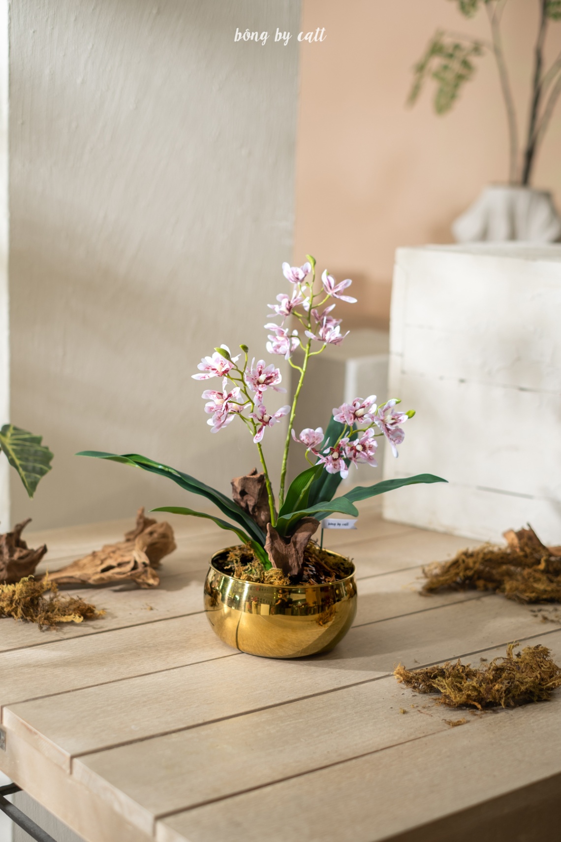 Orchid - Ái Chi - Gold