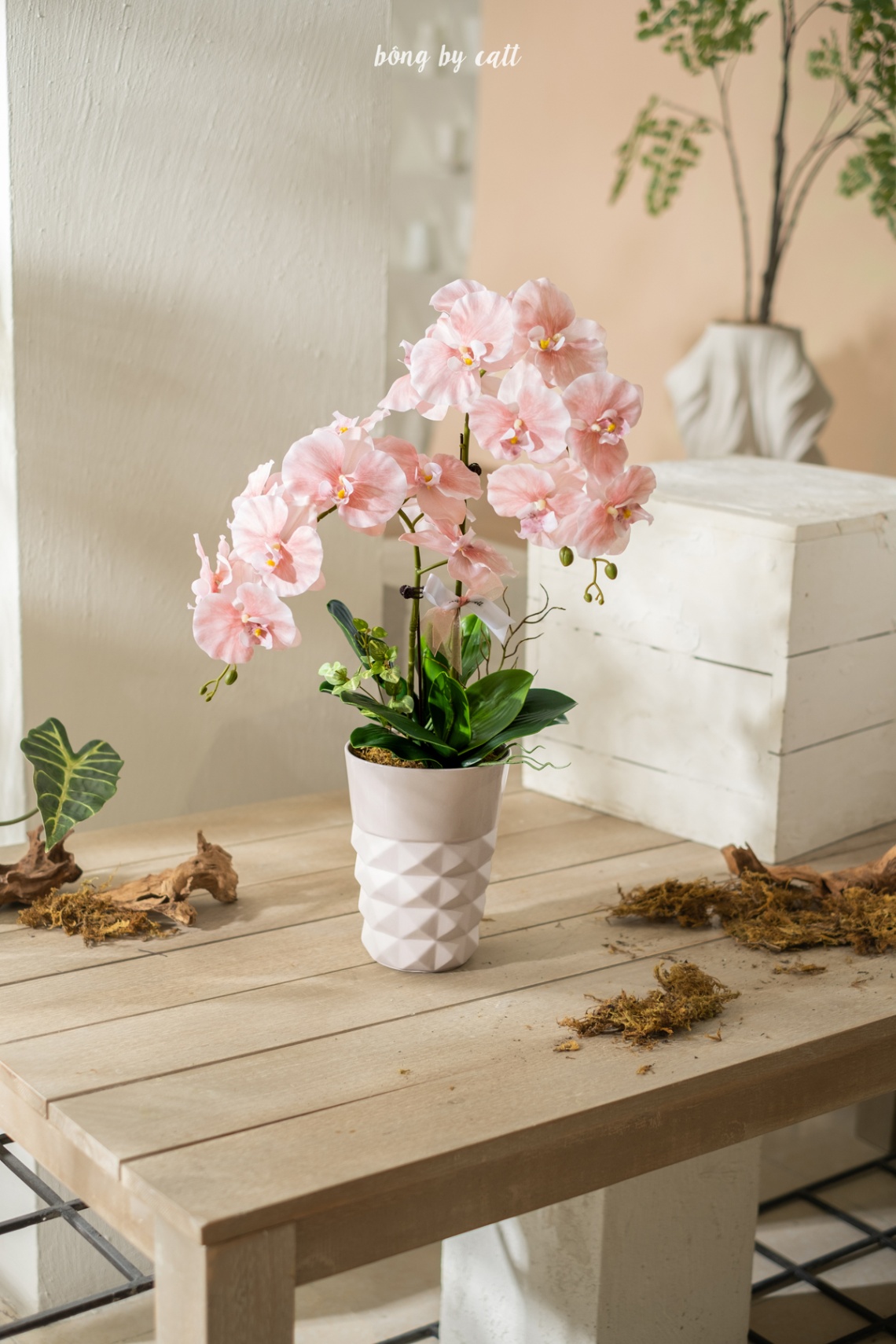 Orchid - Tân Kỳ 2.1 - Gốm
