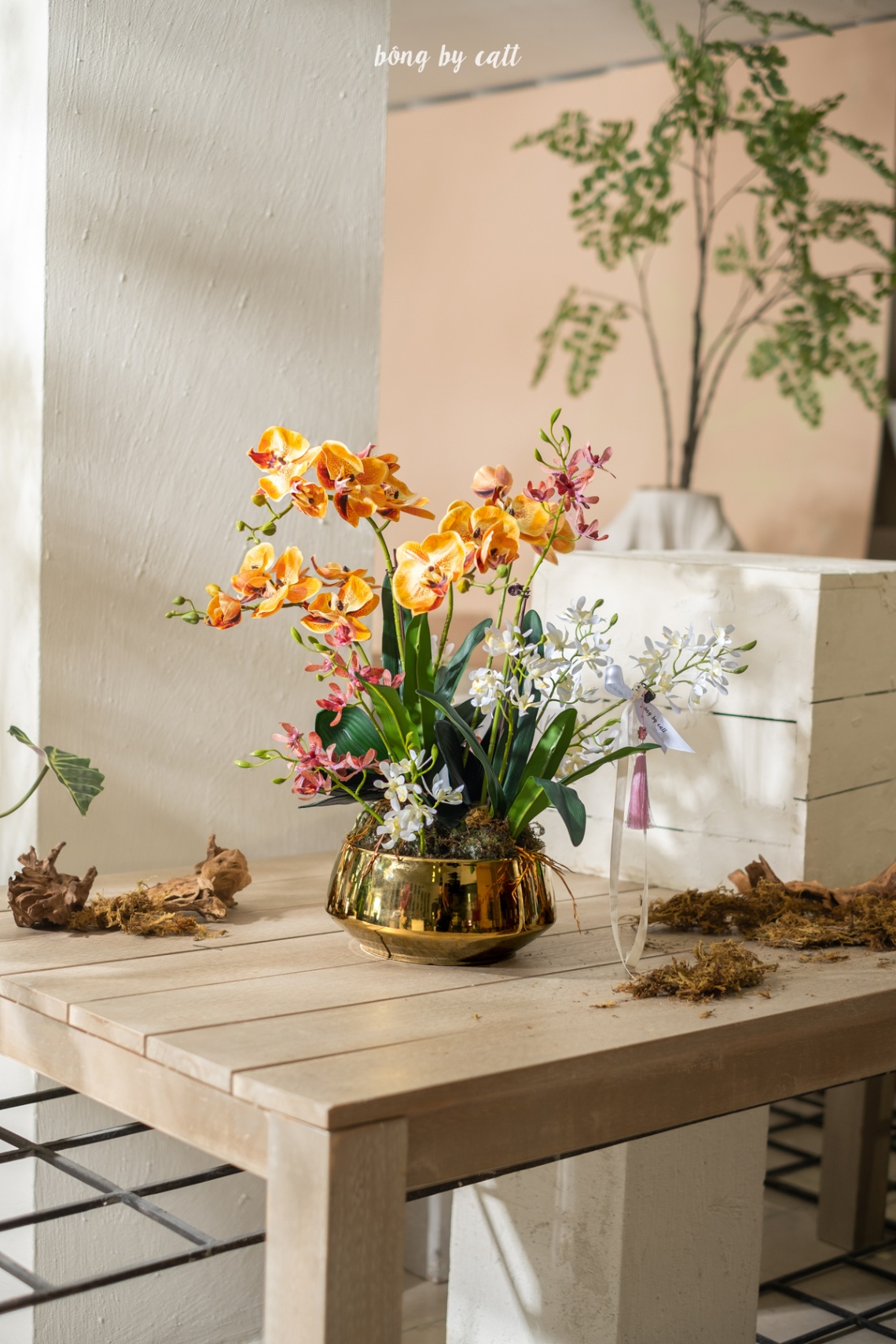 Orchid - Phú Quý 12.1 - Gold