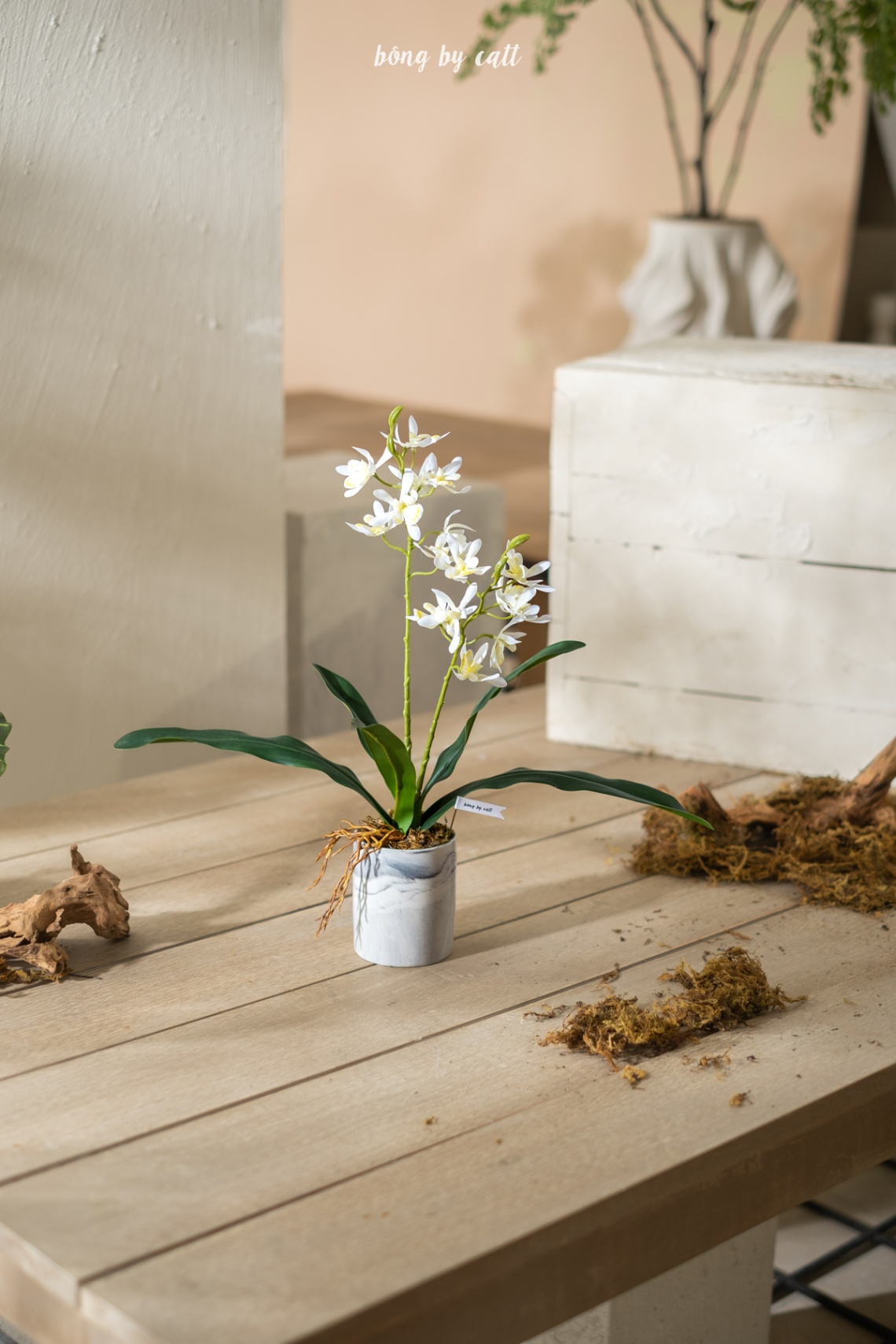 Orchid - Ngọc 2.1 - Ceramic