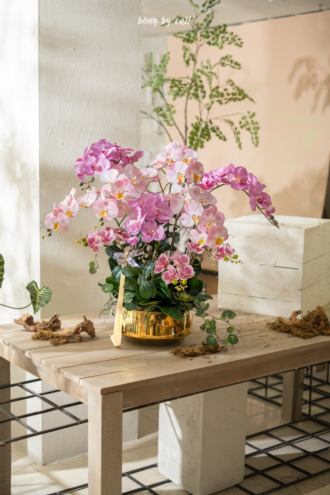 Orchid - Ngọc Mỹ 10.1 - Ceramic