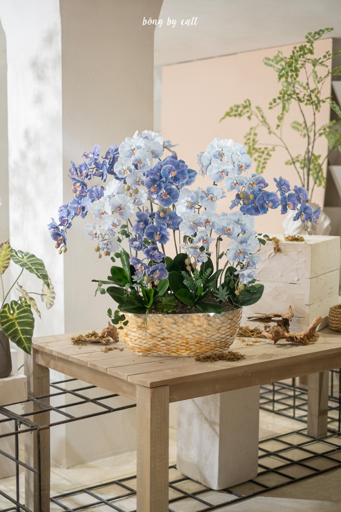 Orchid - Quốc Thiên 10.3 - Mosaic