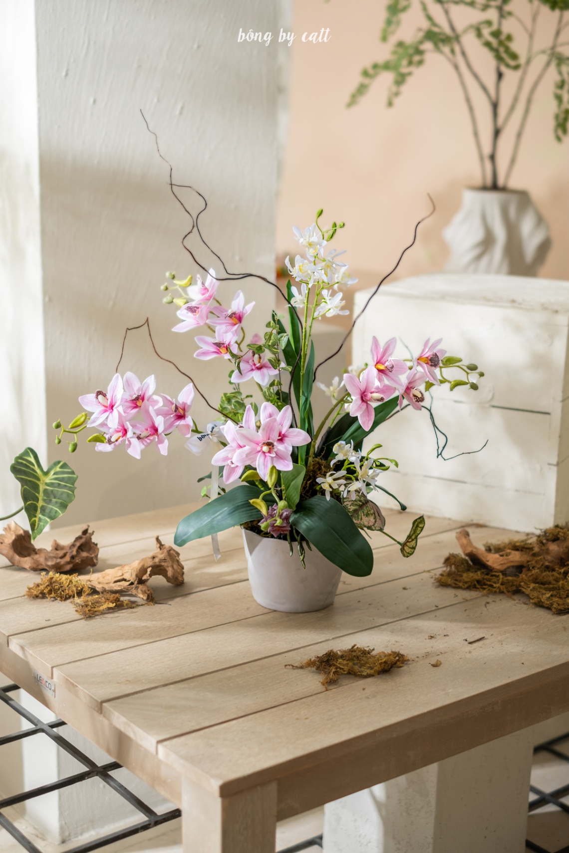 Orchid - Viên Hi 7.1 - Gốm