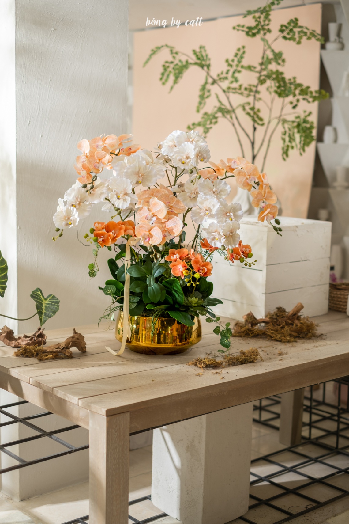 Orchid - Ngọc Mỹ 10 - Ceramic