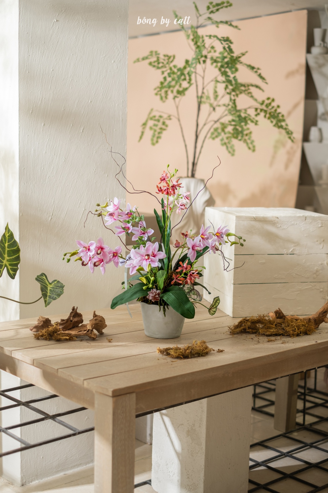 Orchid - Viên Hi 7.2 - Gốm