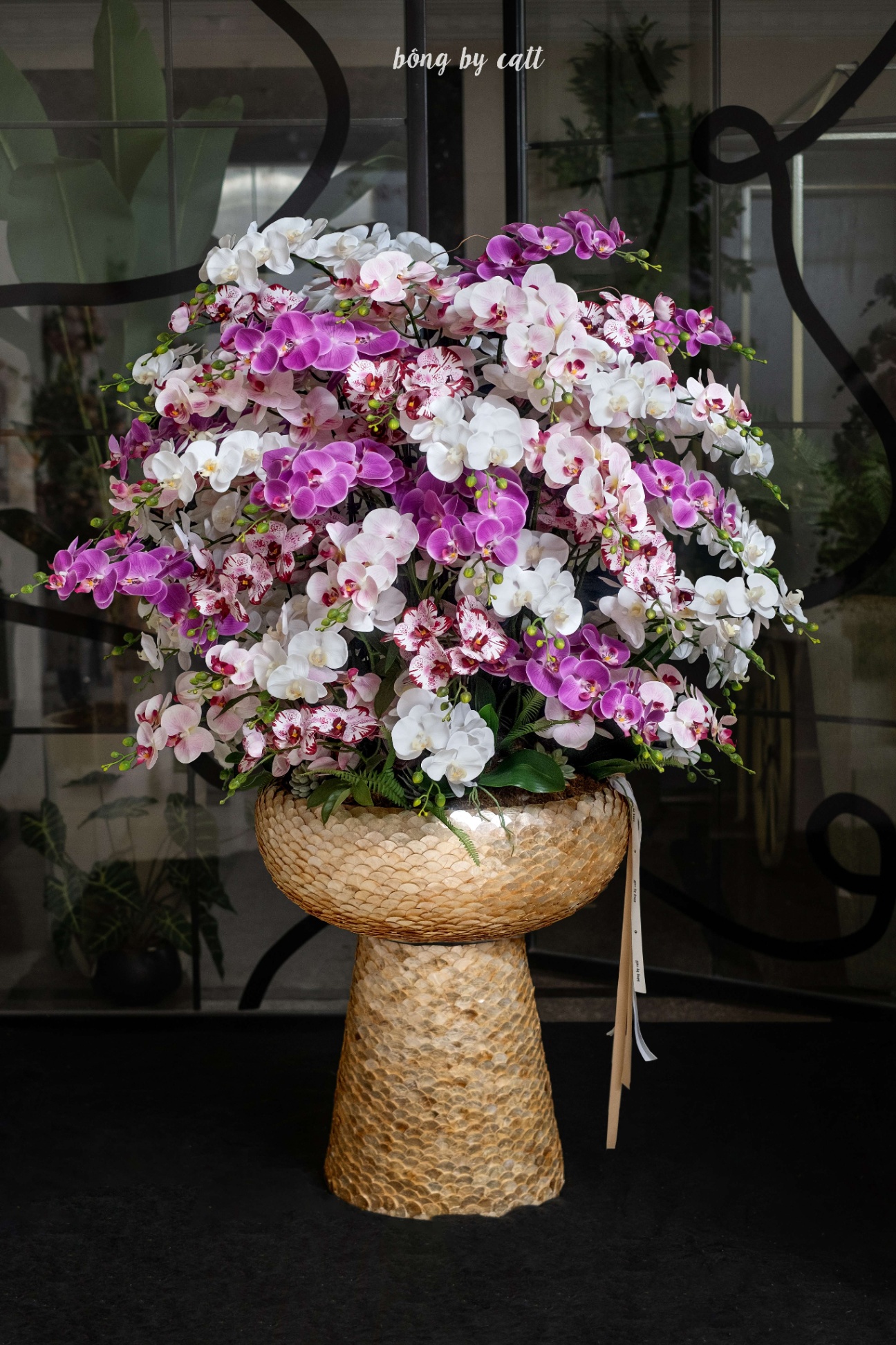Orchid - Mãn Đường