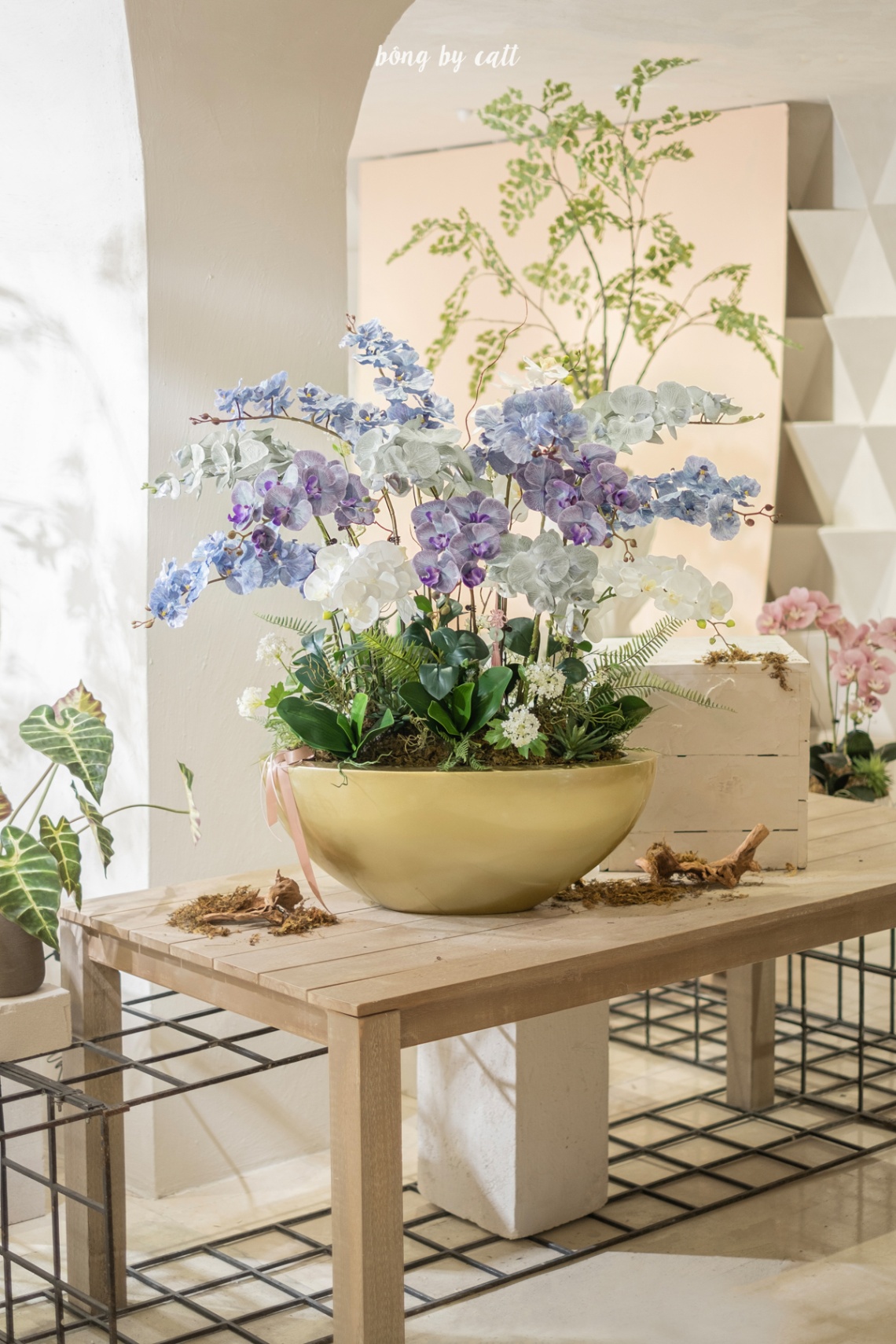 Orchid - Diệp Lan 15 - Matte Gold