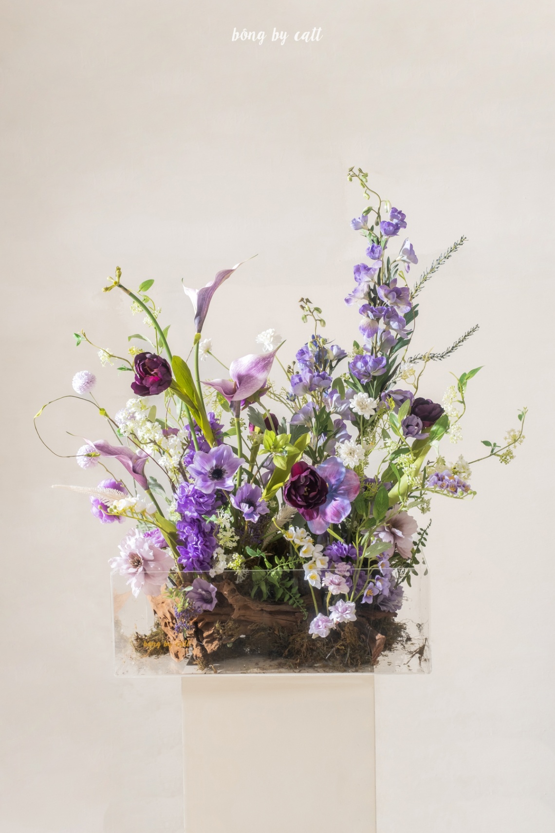 Bloom box Hi - Sean