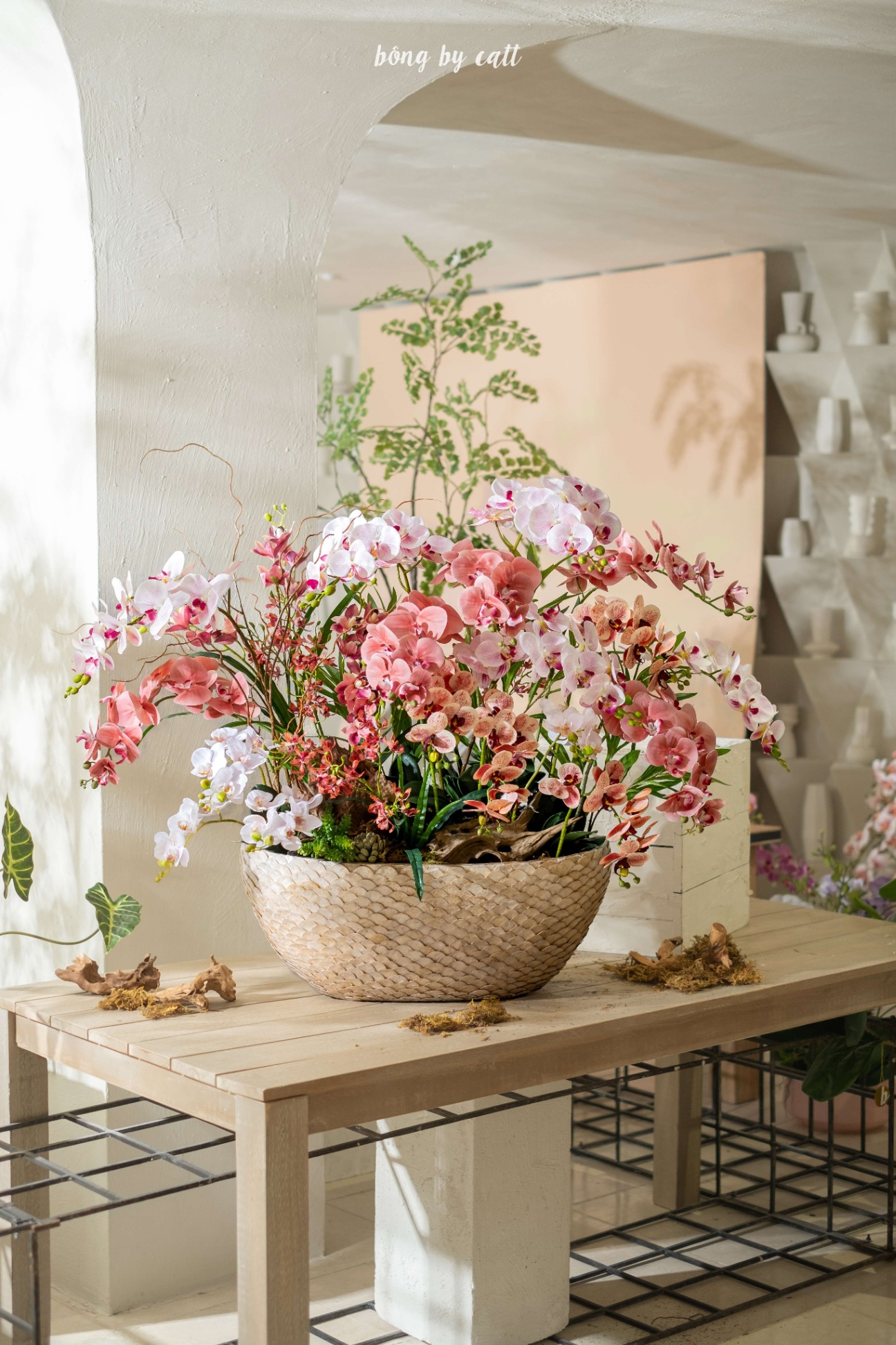 Orchid - Master 32 - Mosaic