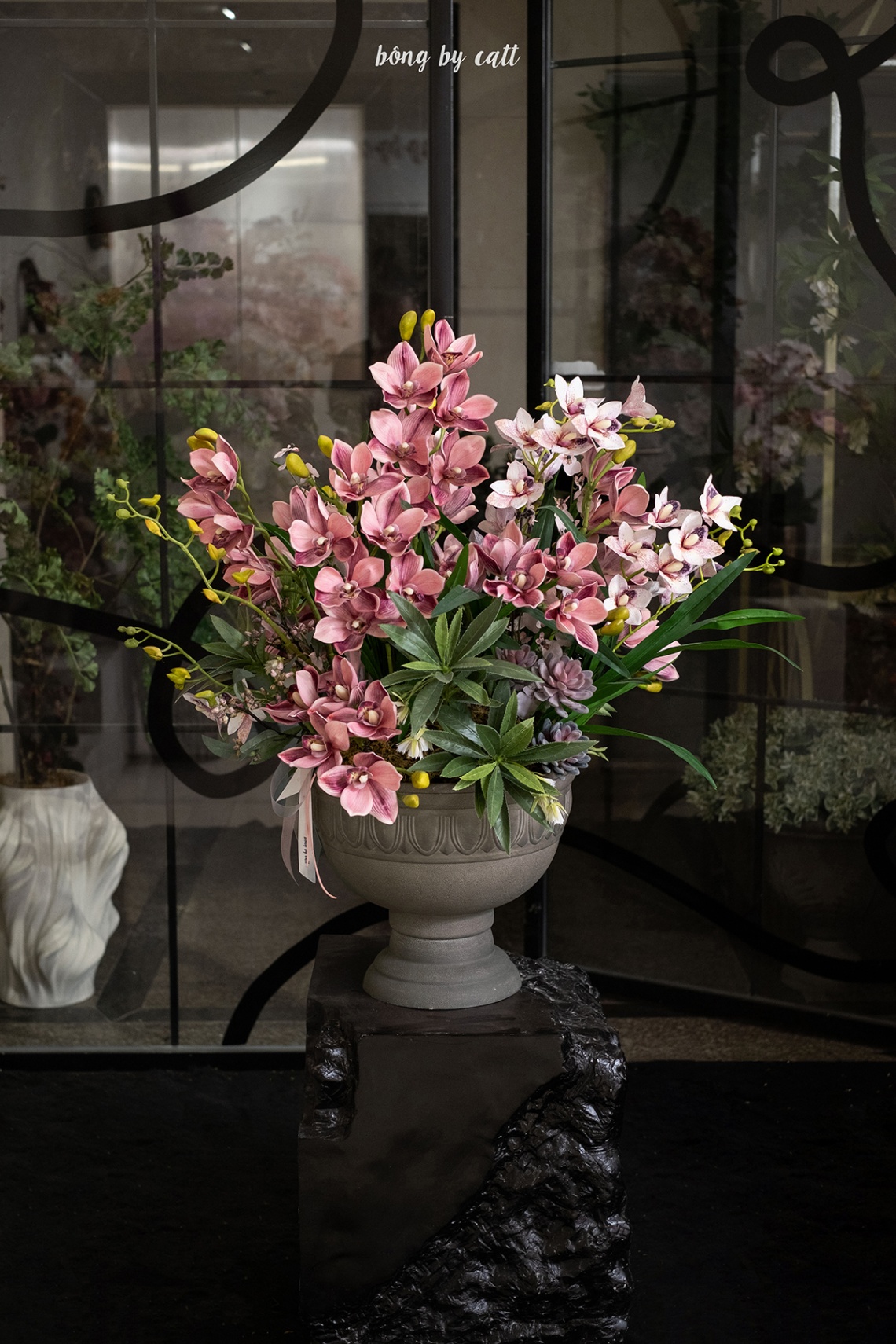 Orchid - Cymbidium King 10.3 - Compote