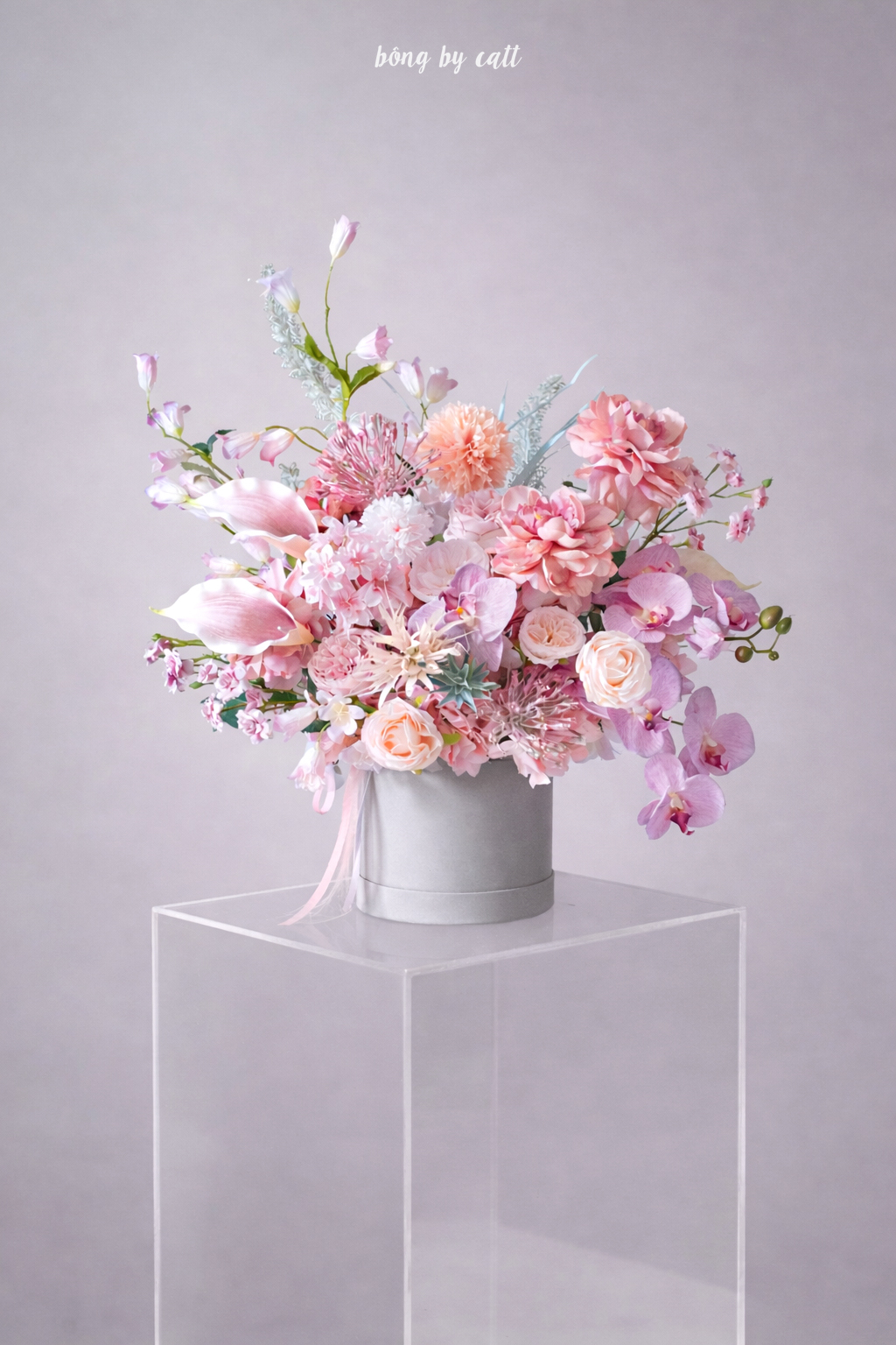 Blooming Zilyn - Serena - Ghi