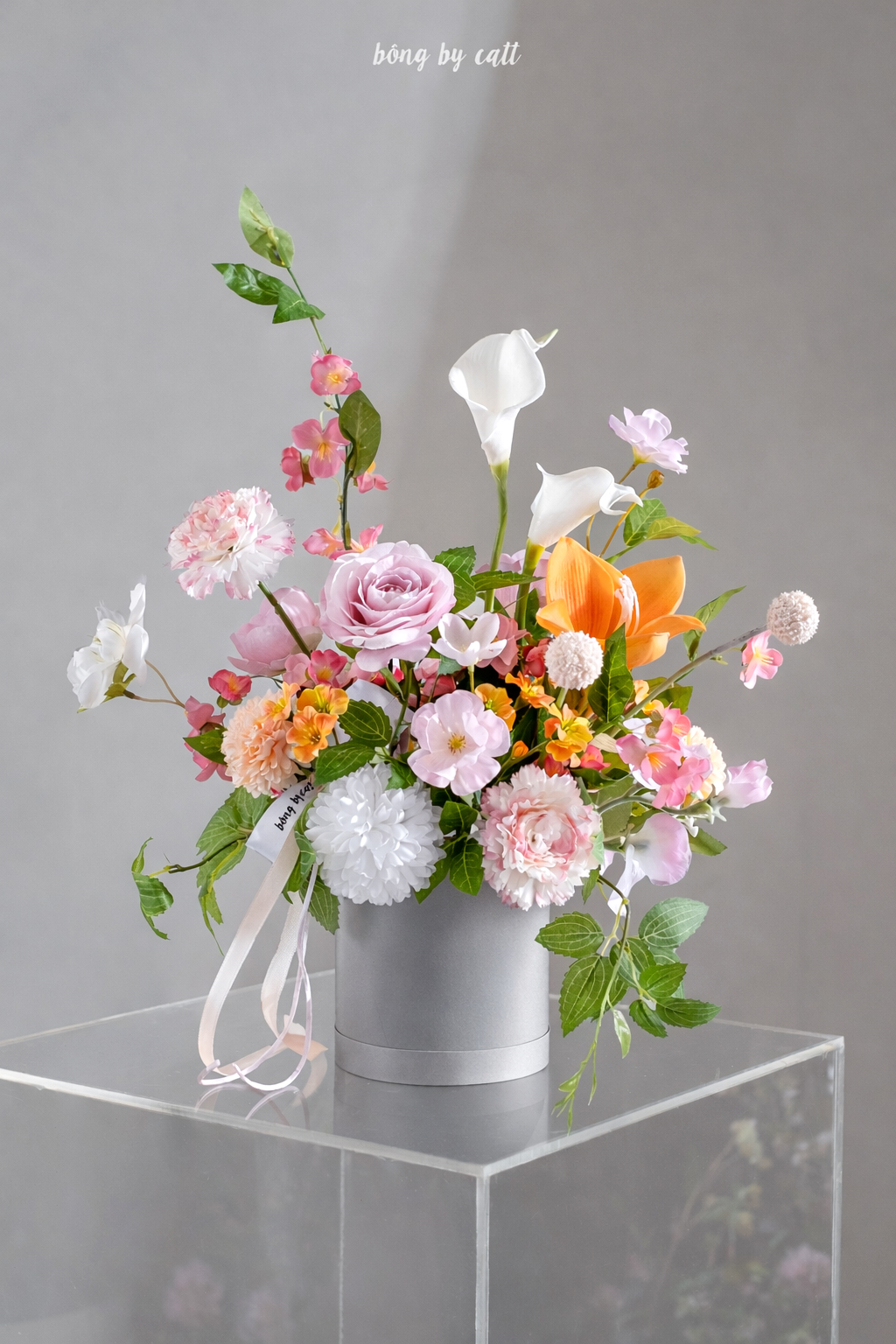 Blooming Zilyn - Alisha - Ghi